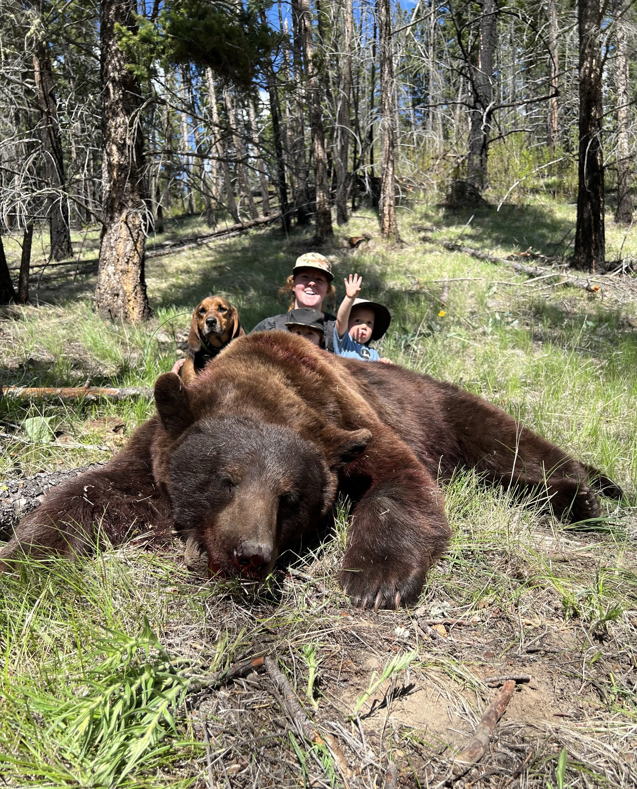 2023 brown bear.jpg
