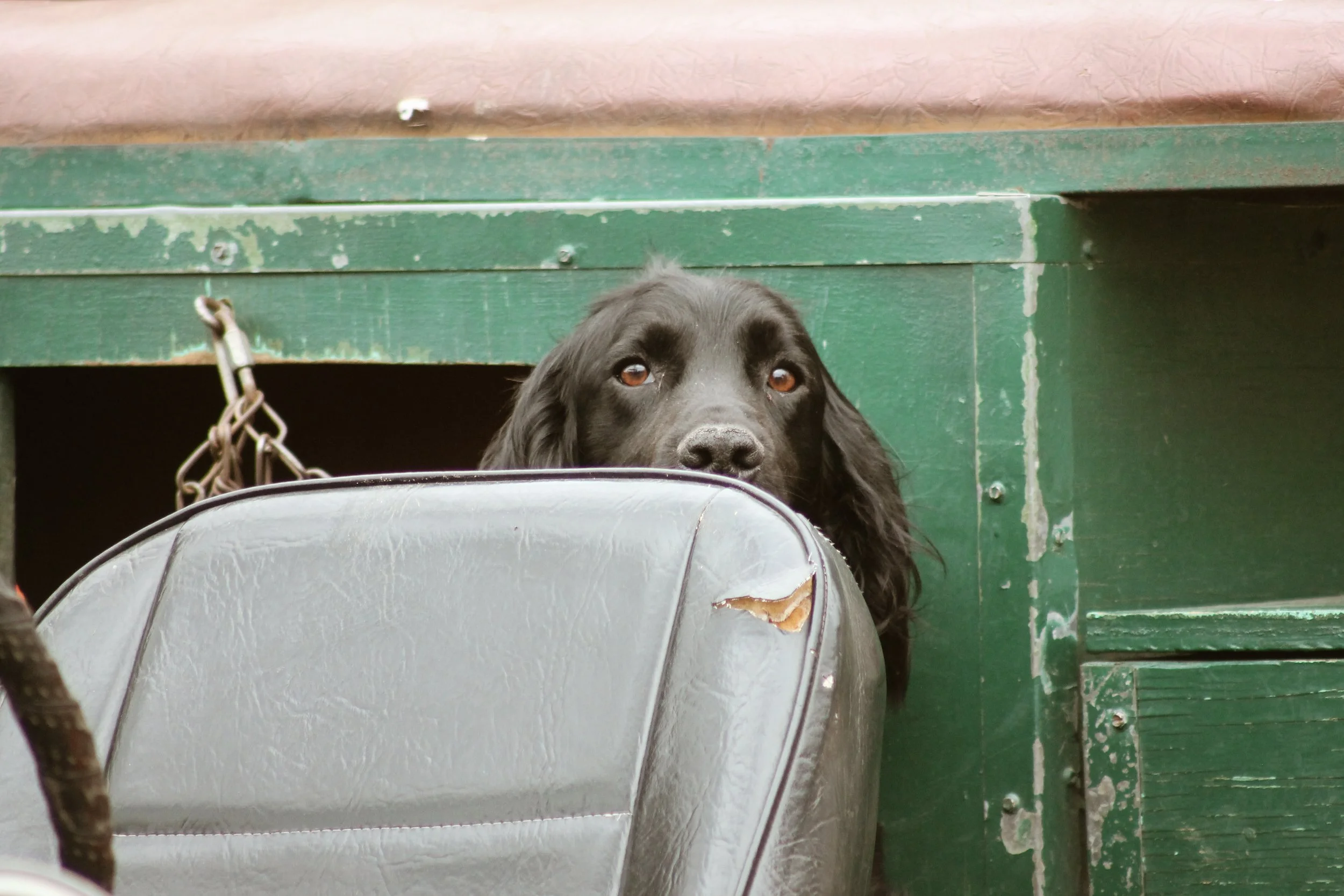 Veterans Afield-123.jpg