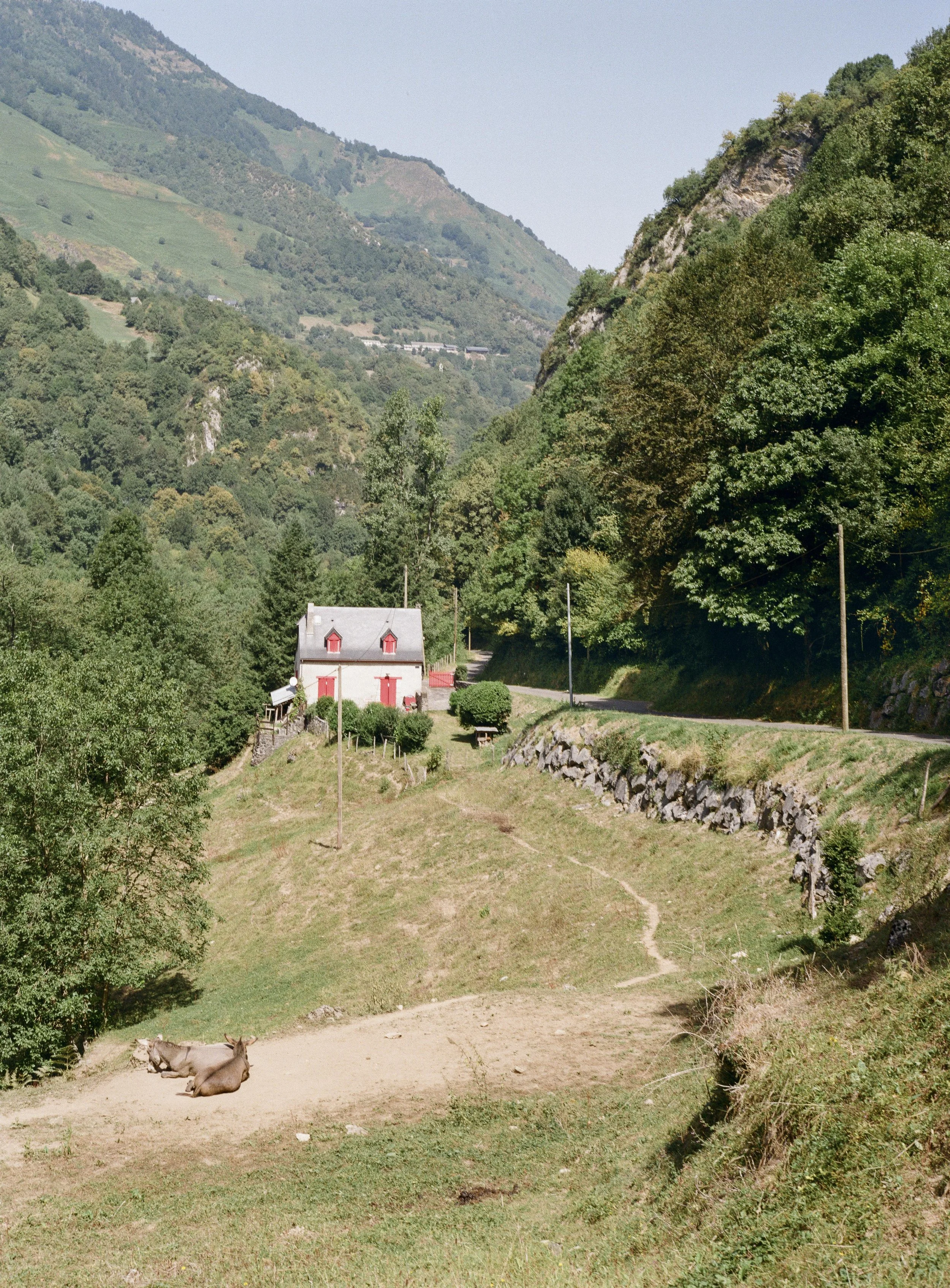 la-vallee-d-aspe (1).jpg