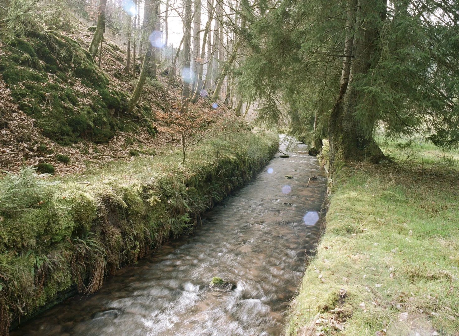 Johanniskreuzerstraße