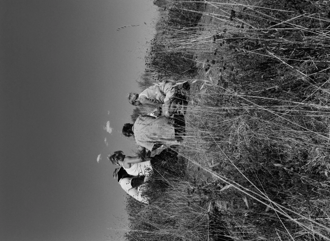 BW18931-1-008.jpg