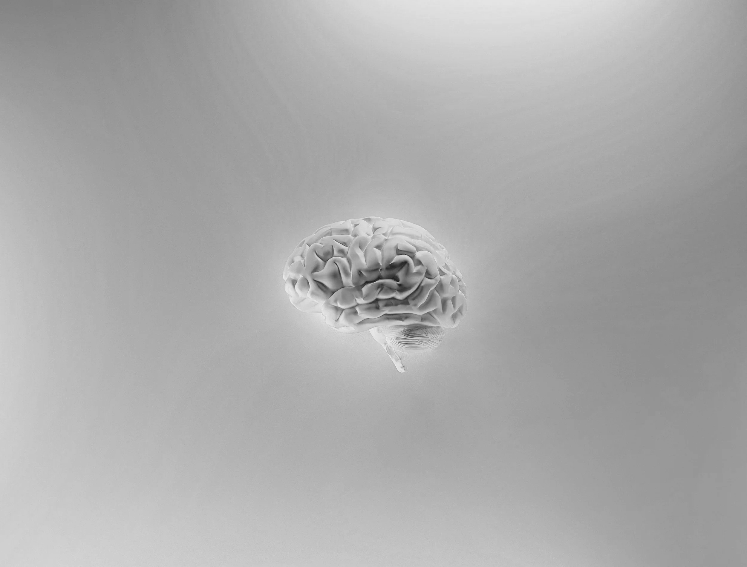 What is Human Nature?