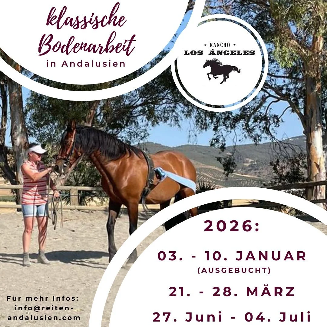 Unser erster Kurs mit Sandra Dutin&eacute; war ein voller Erfolg🤩 - motivierte Teilnehmer, tolle Pferde und viele einzigartige Momente.

Deshalb gibts n&auml;chstes Jahr nicht nur eine, sondern 3 Kurswochen mit ihr.🥳

Euch erwarten Wochen voller In