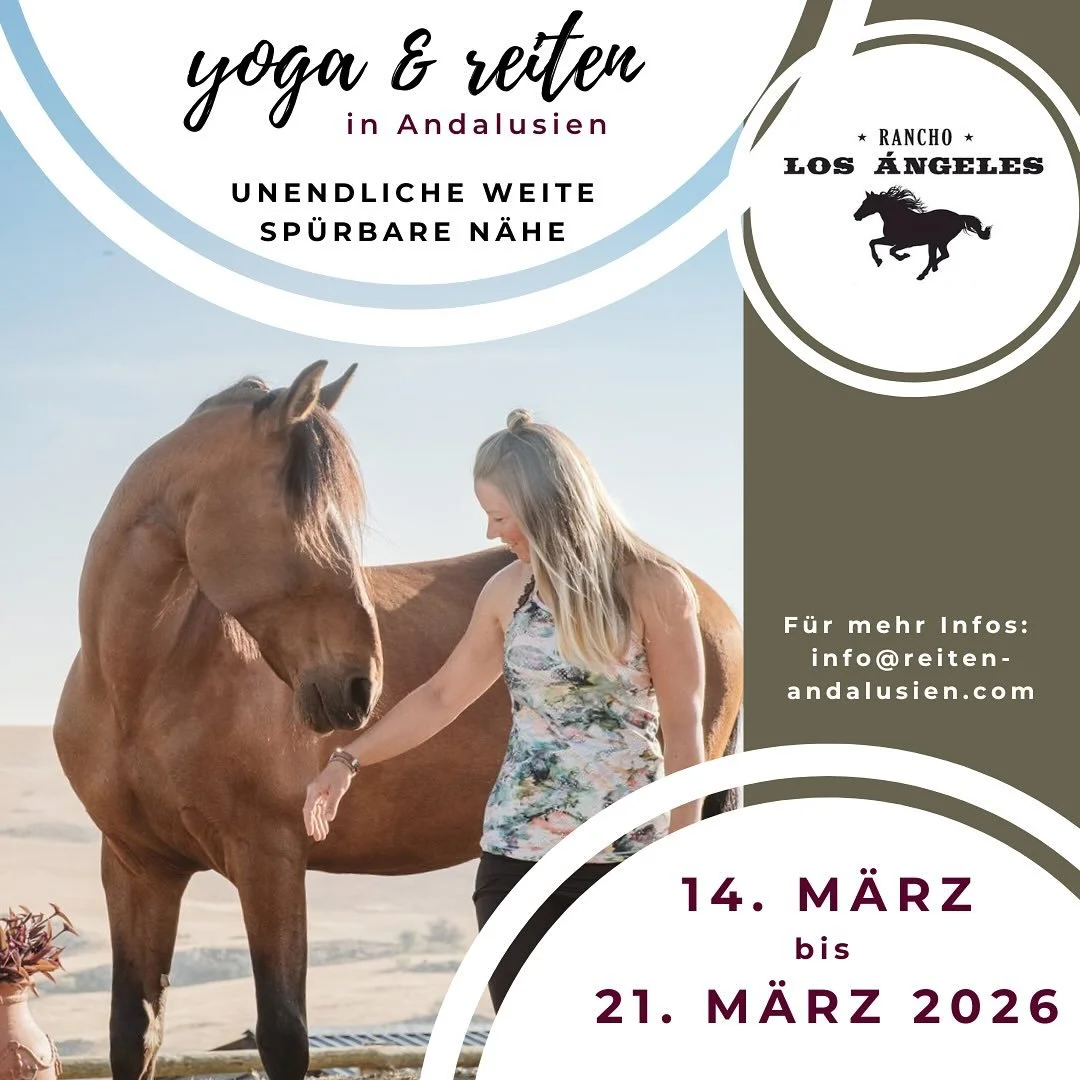Atmen. F&uuml;hlen. Reiten. 🌿🐎

Mit Luzia erlebst du, wie sich Yoga und Reiten perfekt erg&auml;nzen.🧘🏼&zwj;♀️✨

Es gibt noch einige Pl&auml;tze in der Reit- &amp; Yogawoche im M&auml;rz 2026.💖

Bei Interesse melde dich doch unter folgender Emai