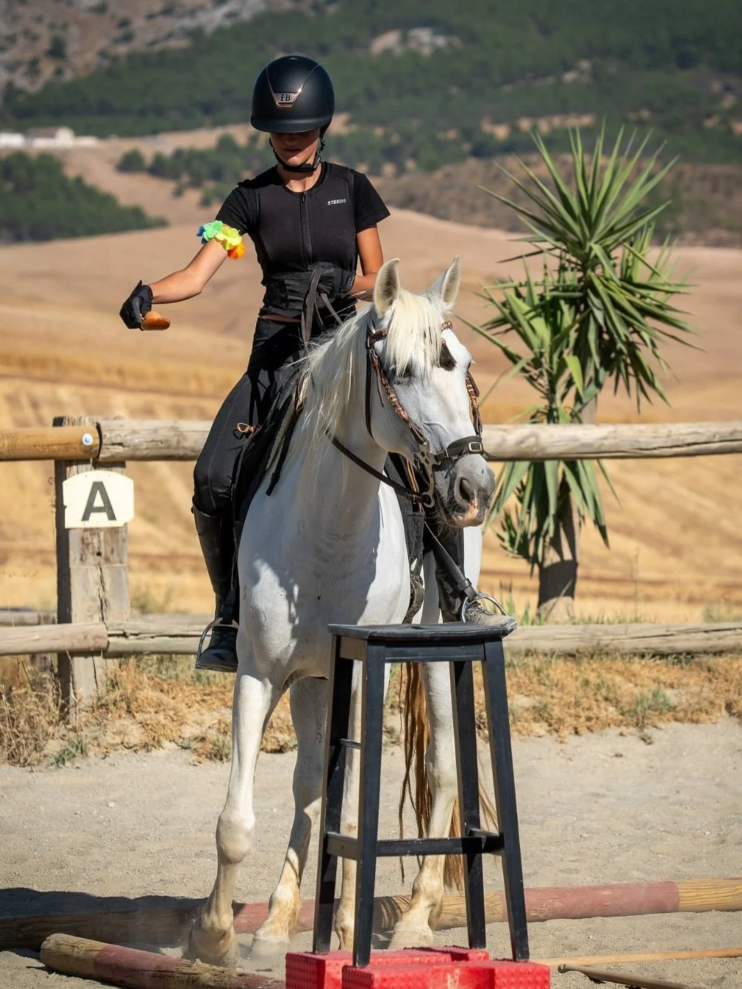 Wenn Pferde und G&auml;ste gleichermassen Spass haben - Mission erf&uuml;llt😄🐎🤝🏼
Unsere Reiterspiele sind immer wieder toll!🧡