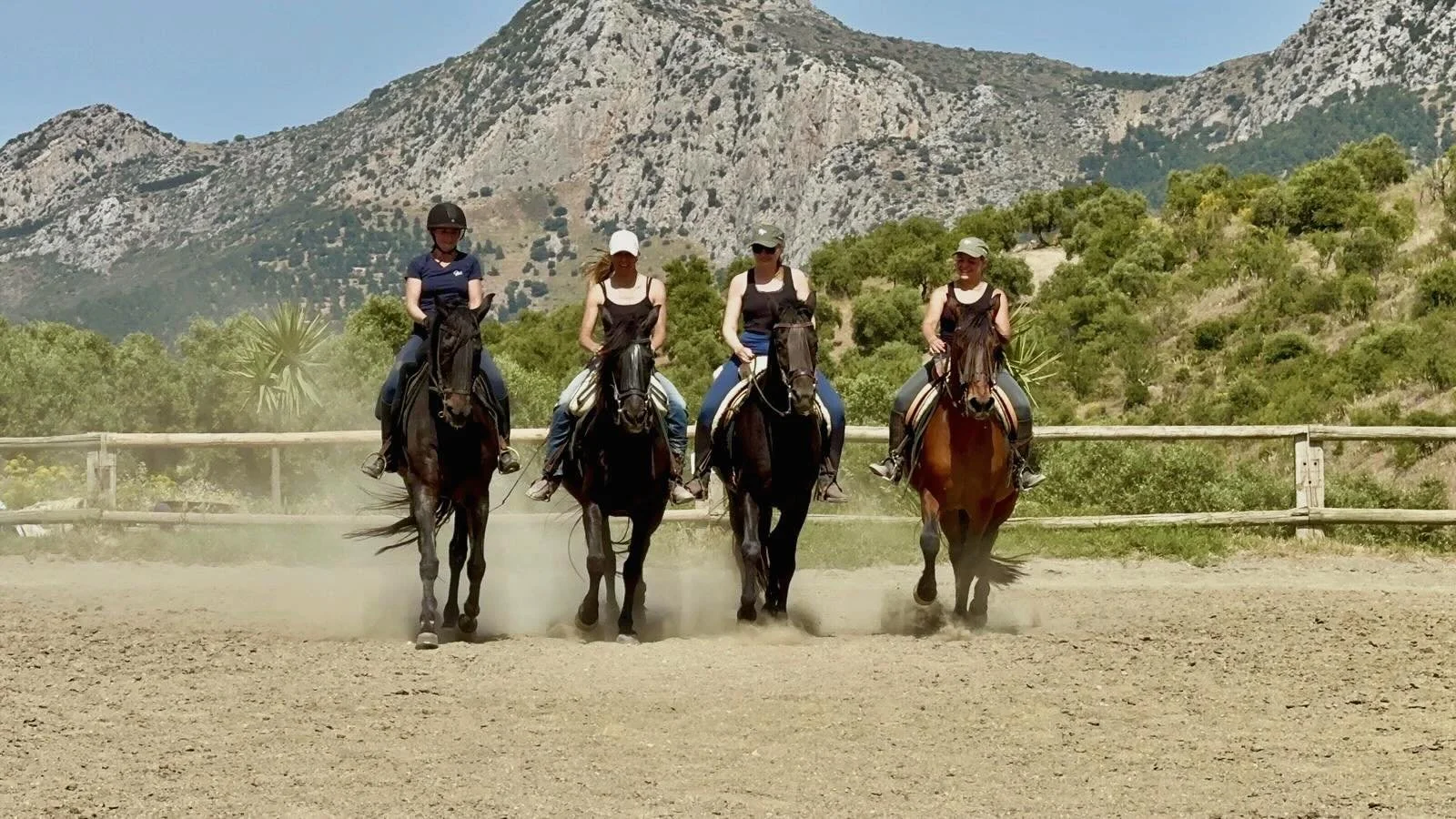 Spontan Lust auf eine Auszeit unter der andalusischen Sonne?☀️🐴

Ab dem 21. Juni ist kurzfristig ein Doppelzimmer frei geworden. Vielleicht ist das ja die perfekte Gelegenheit f&uuml;r ein paar Tage mit Pferden, tollen Menschen und unvergesslichen M