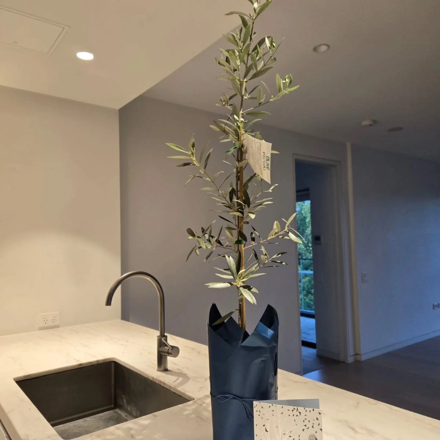 Sometimes (often!) life doesn't go exactly as planned and that's the case for my Double Bay project - the goal was to have (most of) the apartment done by the time the client moved in, but plans change and the client wanted to get in straight away 🫡