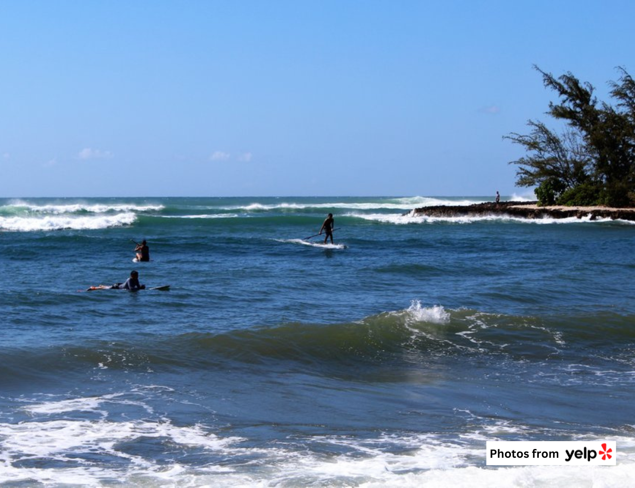 THE BREAKDOWN: 3 Beginner-Friendly Surfing Spots in North Shore Oahu ...