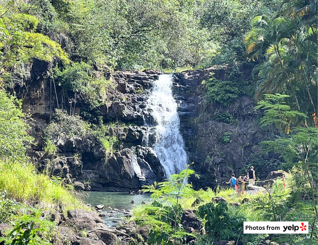 THE BREAKDOWN: 5 Best Active Adventures on Oahu's North Shore ...