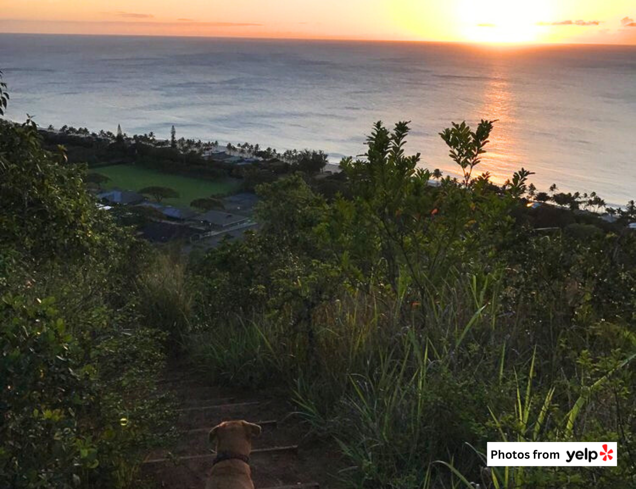 THE BREAKDOWN: 5 Best Active Adventures on Oahu's North Shore ...