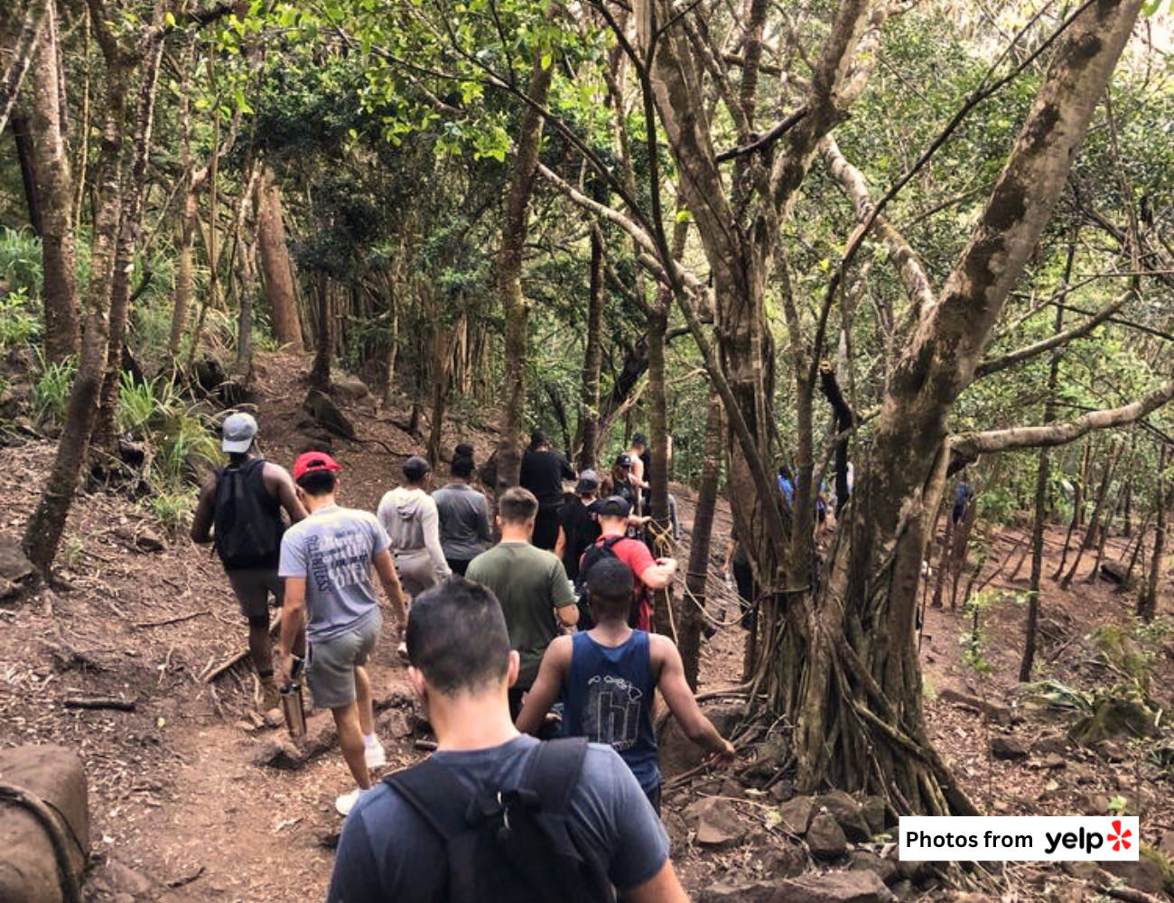 THE BREAKDOWN: 5 Best Active Adventures on Oahu's North Shore ...
