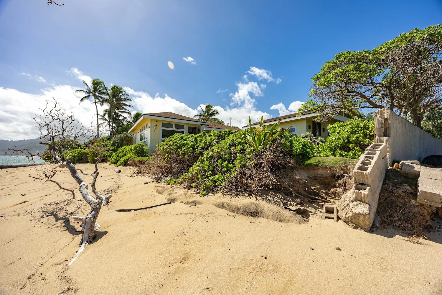 55-373 Kamehameha (49 of 71).jpg