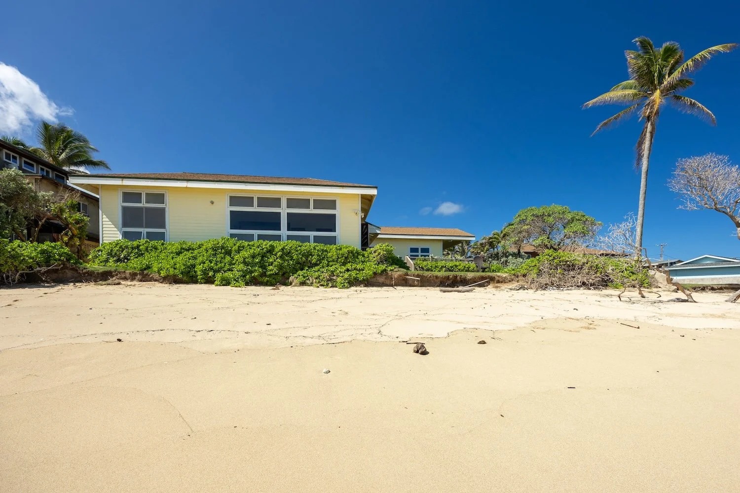 55-373 Kamehameha (48 of 71).jpg