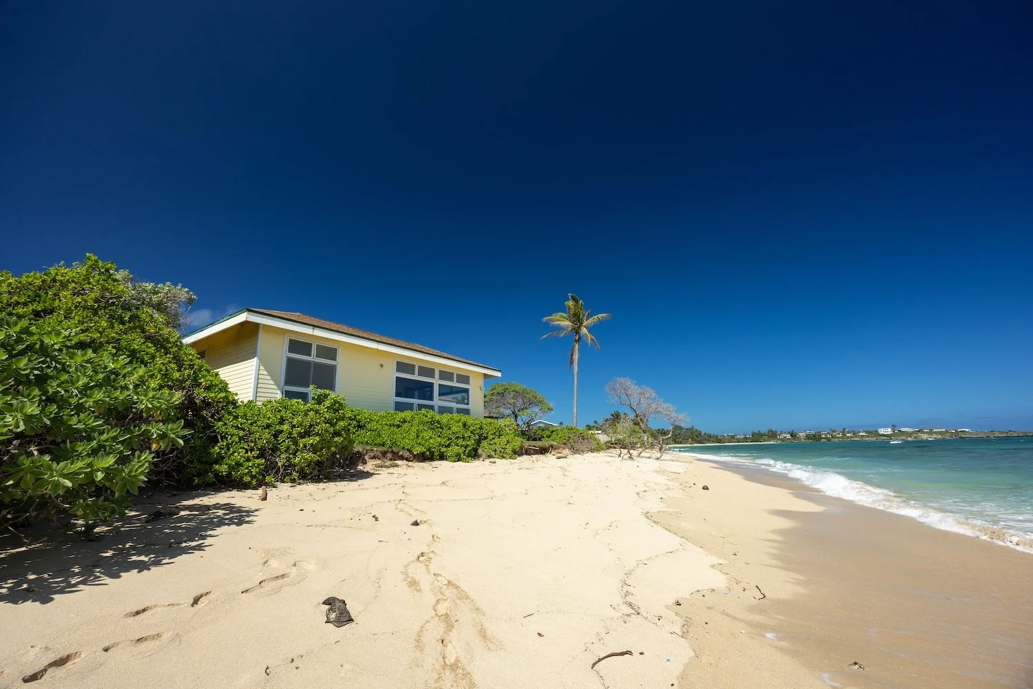 55-373 Kamehameha (46 of 71).jpg