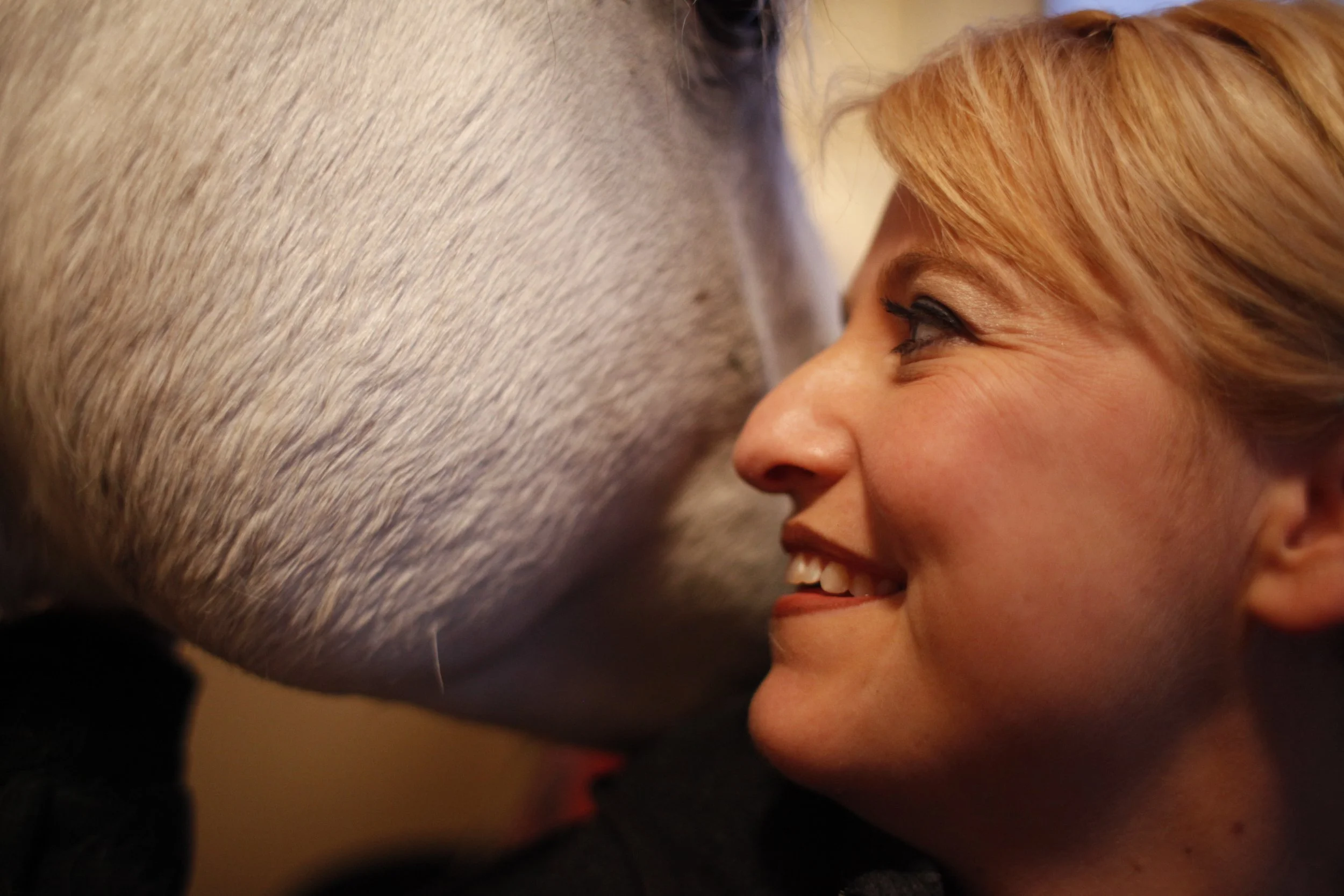 Big Apple Circus 17 Horse Photo by Vito Fun.JPG