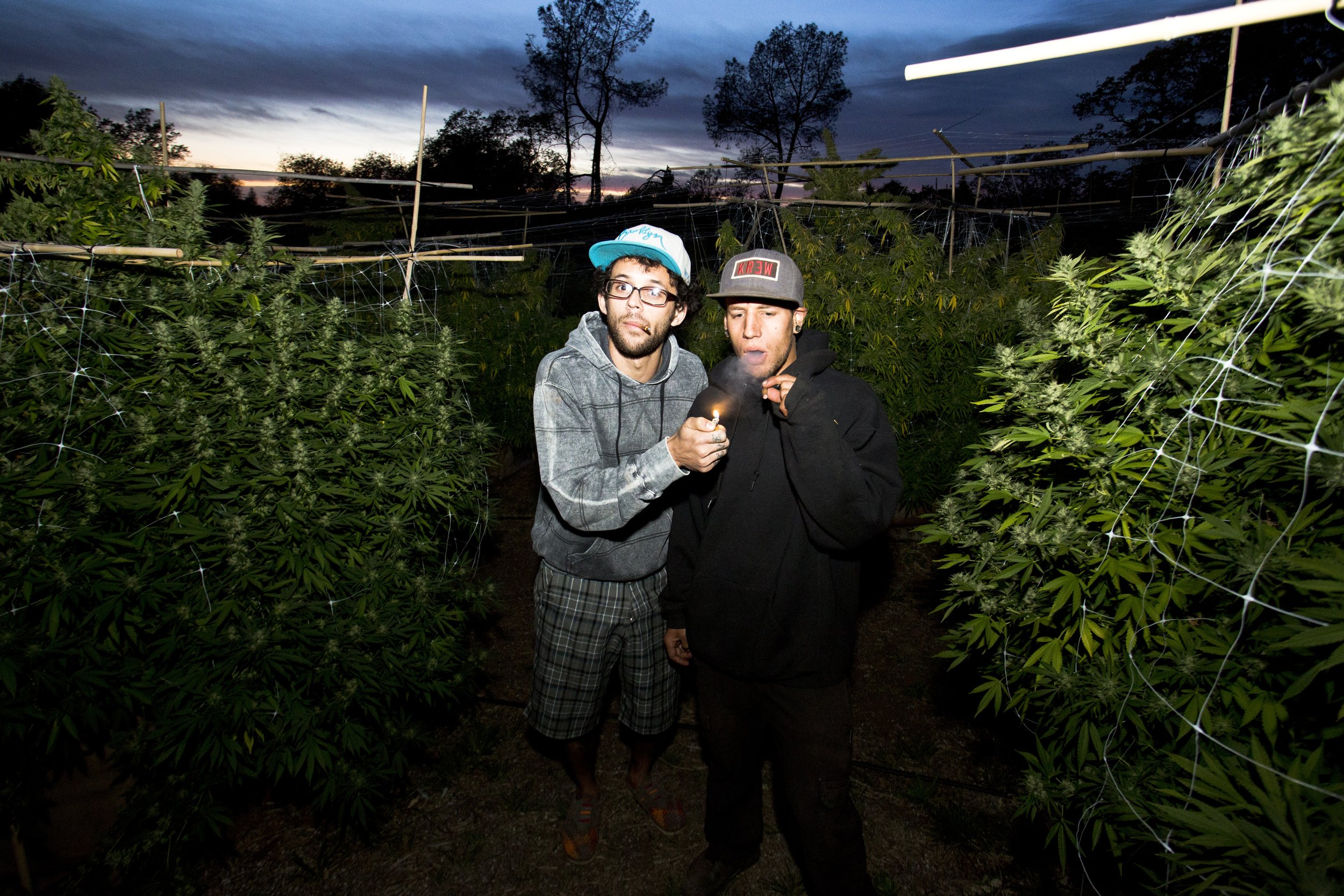 Marijuana Ranch Humboldt County California October 2013 27 Connor Koil Smoking Sunset Photo by Vito Fun.JPG