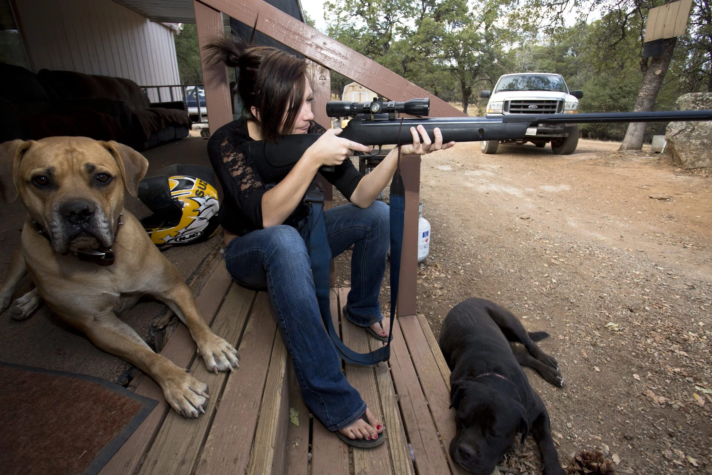 Marijuana Ranch Humboldt County California October 2013 44 Jahni BB Gun Dogs Photo by Vito Fun.JPG
