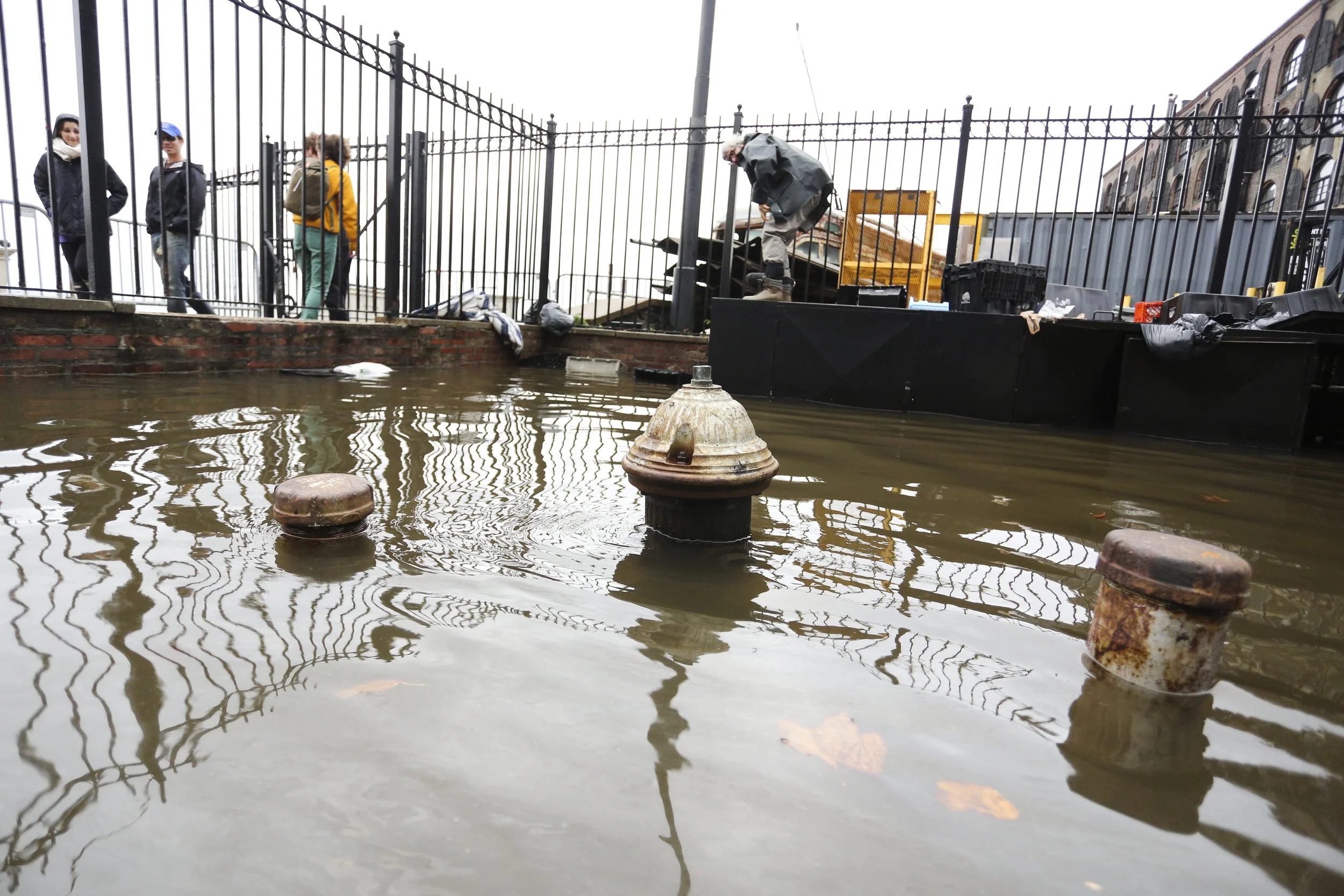Hurricane Sandy Aftermath in Brooklyn 15 Photo by Vito Fun.JPG