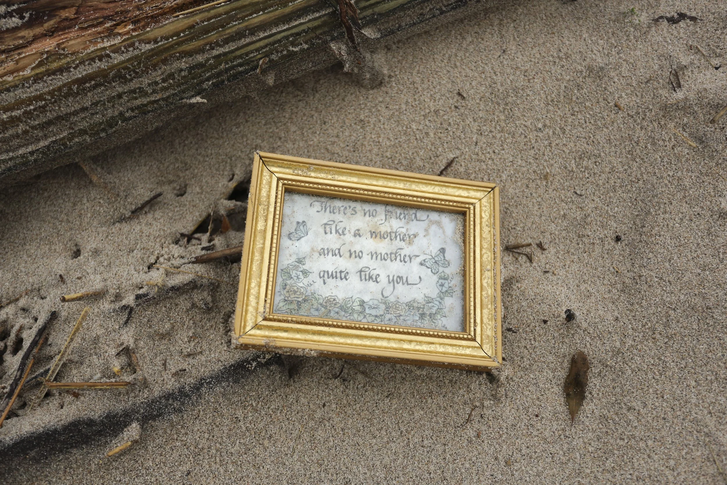 Hurricane Sandy Aftermath in Brooklyn 50 Photo by Vito Fun.JPG
