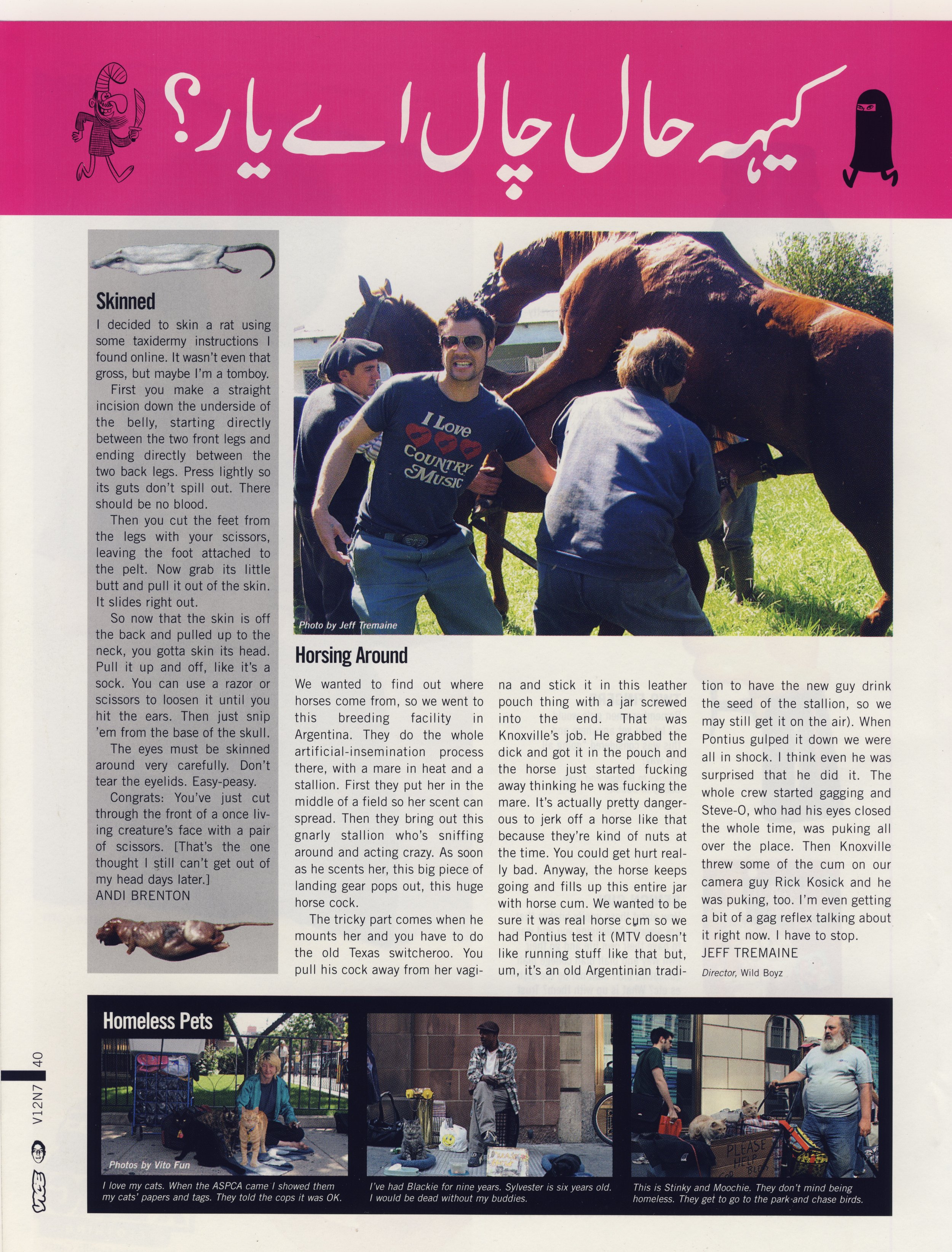 Homeless Pets Analog VICE Magazine.jpeg