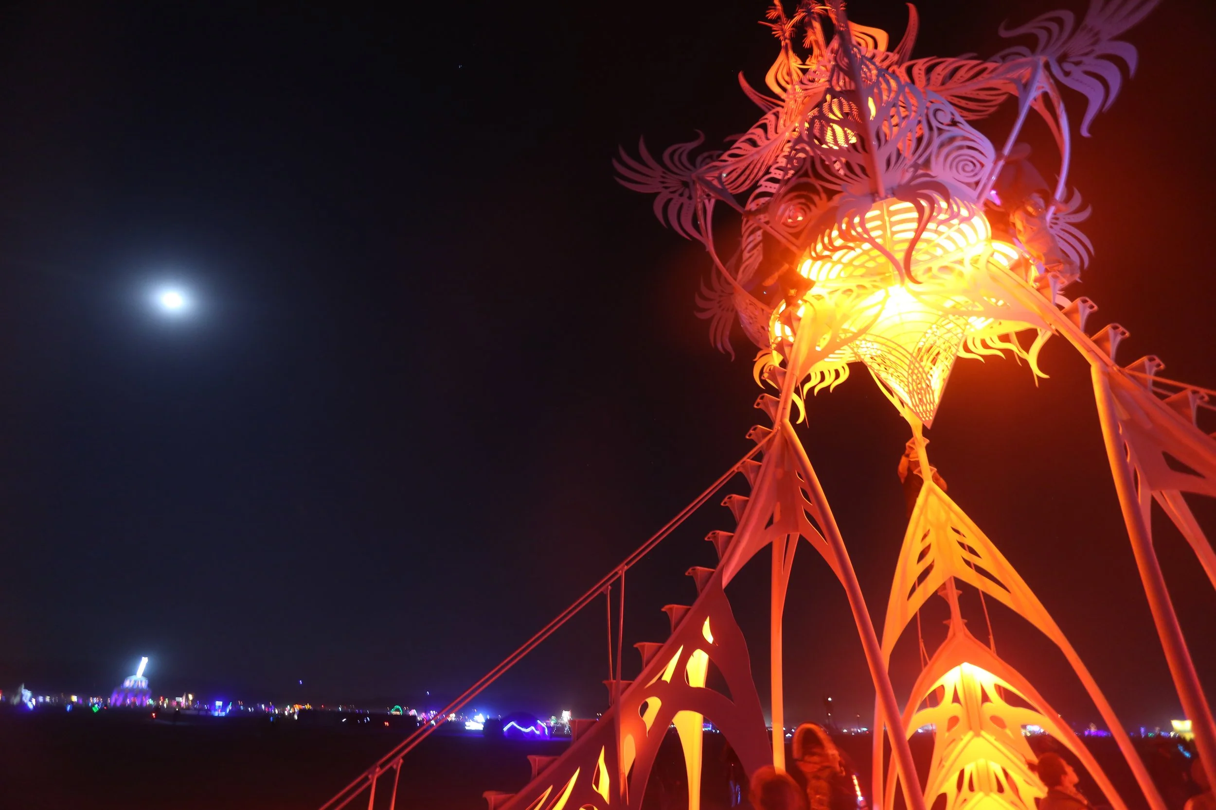 Burning Man 2012 85; Star Seed Night Moon.JPG