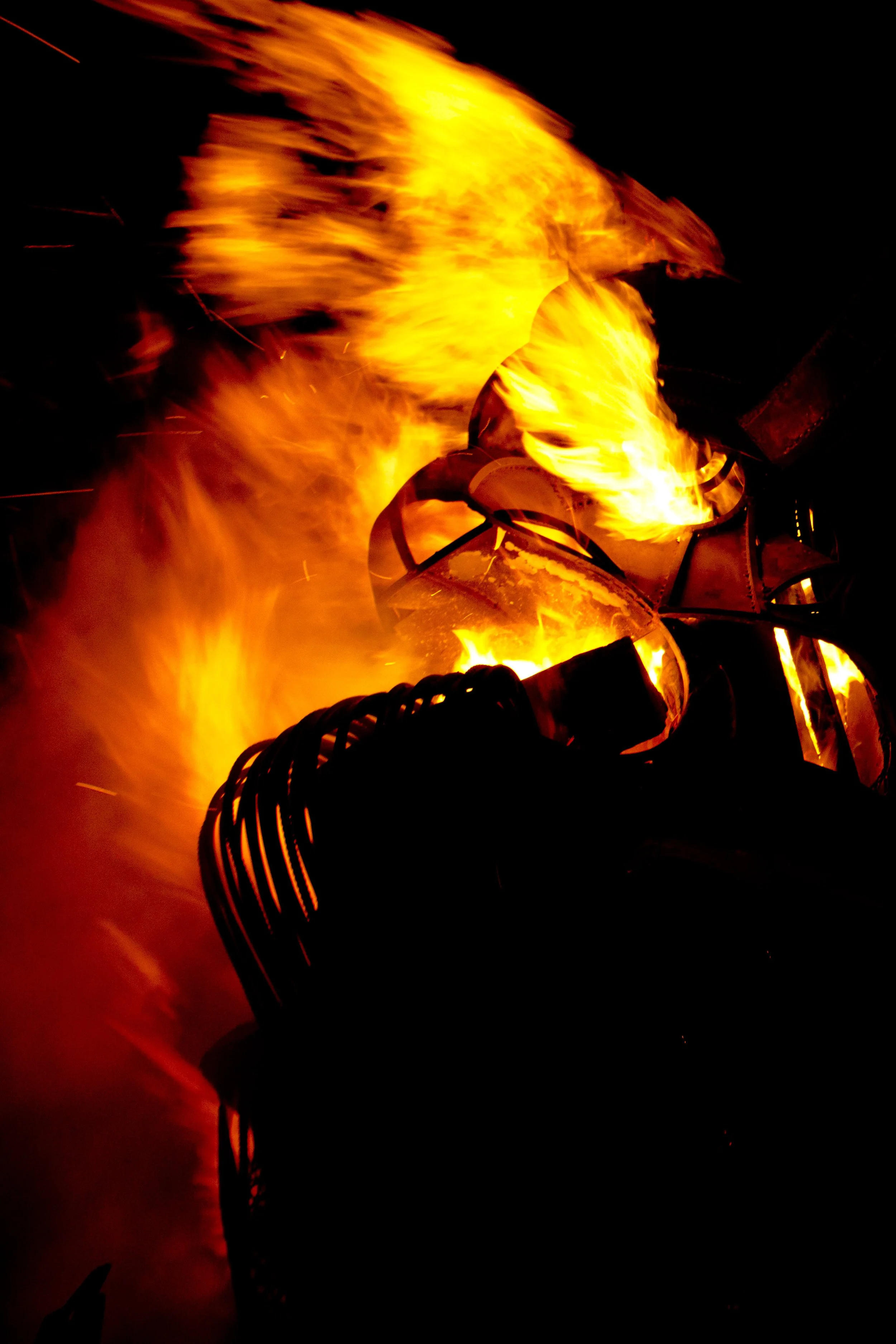 Burning Man 2013 147 Burning Beast.JPG
