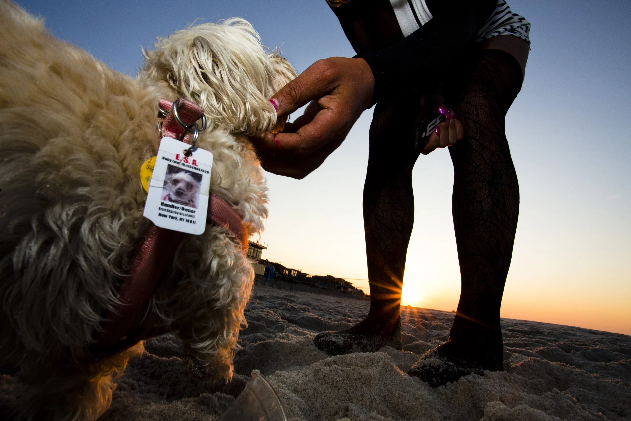 Fire Island Pines August 7th - 10th 2014 30; Iman Baby Love Dog Beach Sunrise:Moonset Photo by Vito Fun.JPG