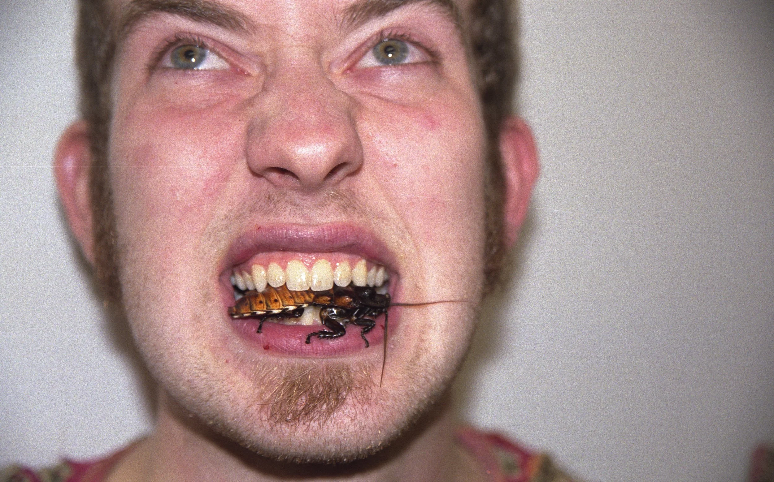 VICE Paul Eating Roaches 2004 258 Photo by Vito Fun.jpg