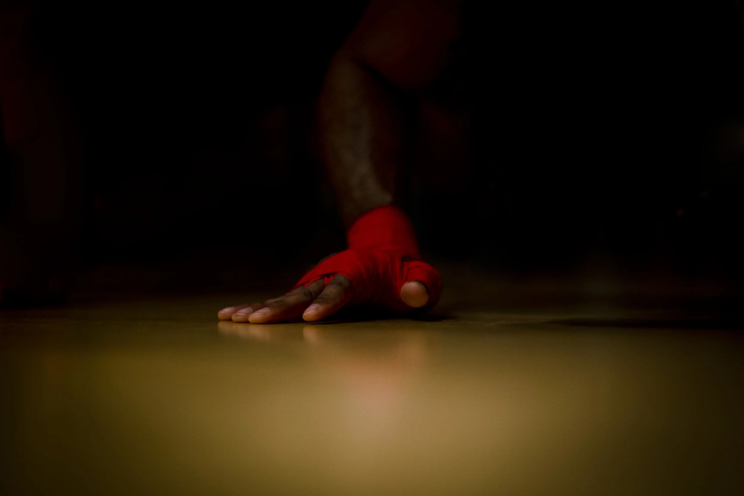 Velvet Gloves Boxing 13 Photo by Vito Fun.jpg