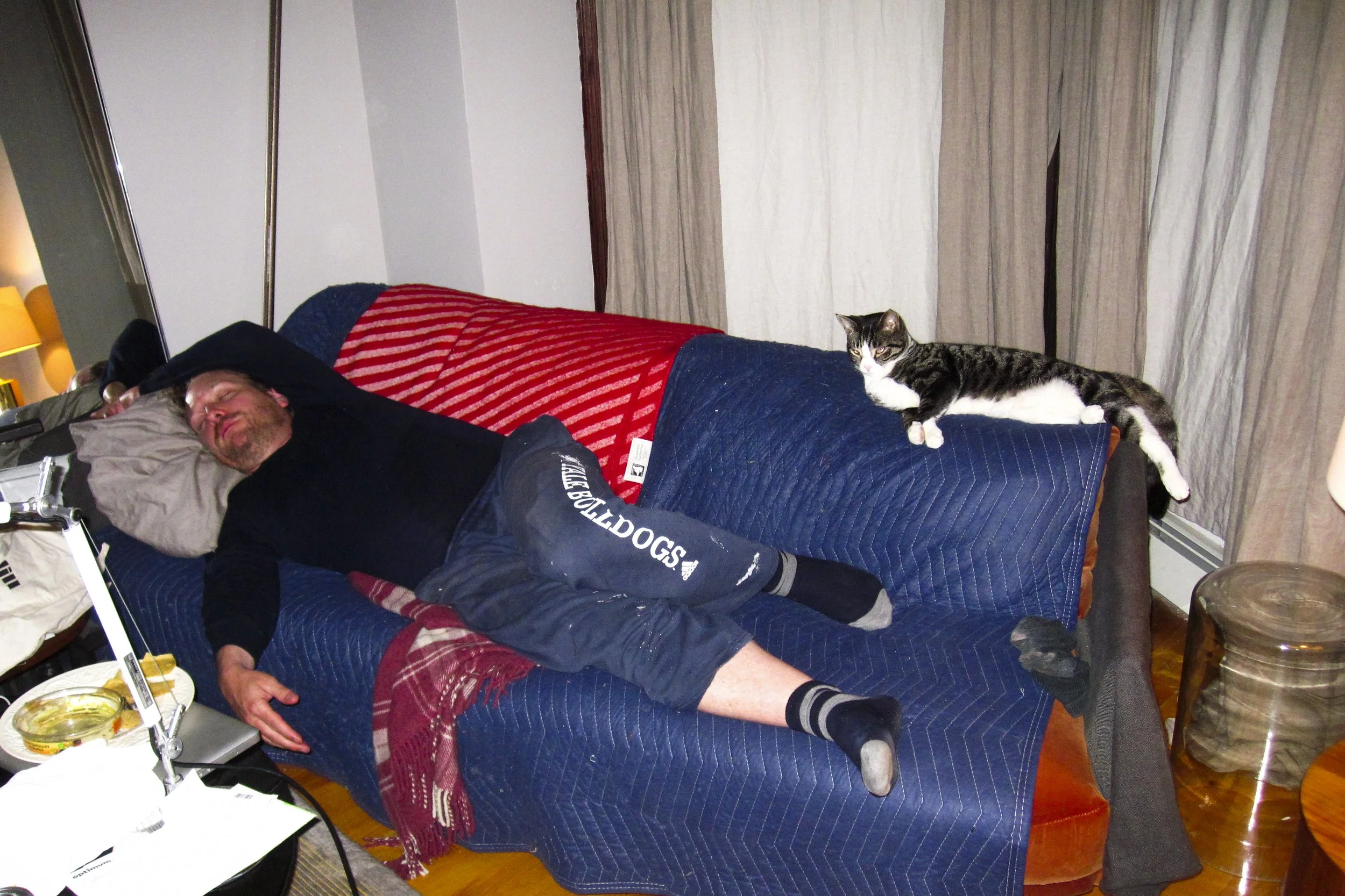 Tom Sleeping Cats.JPG