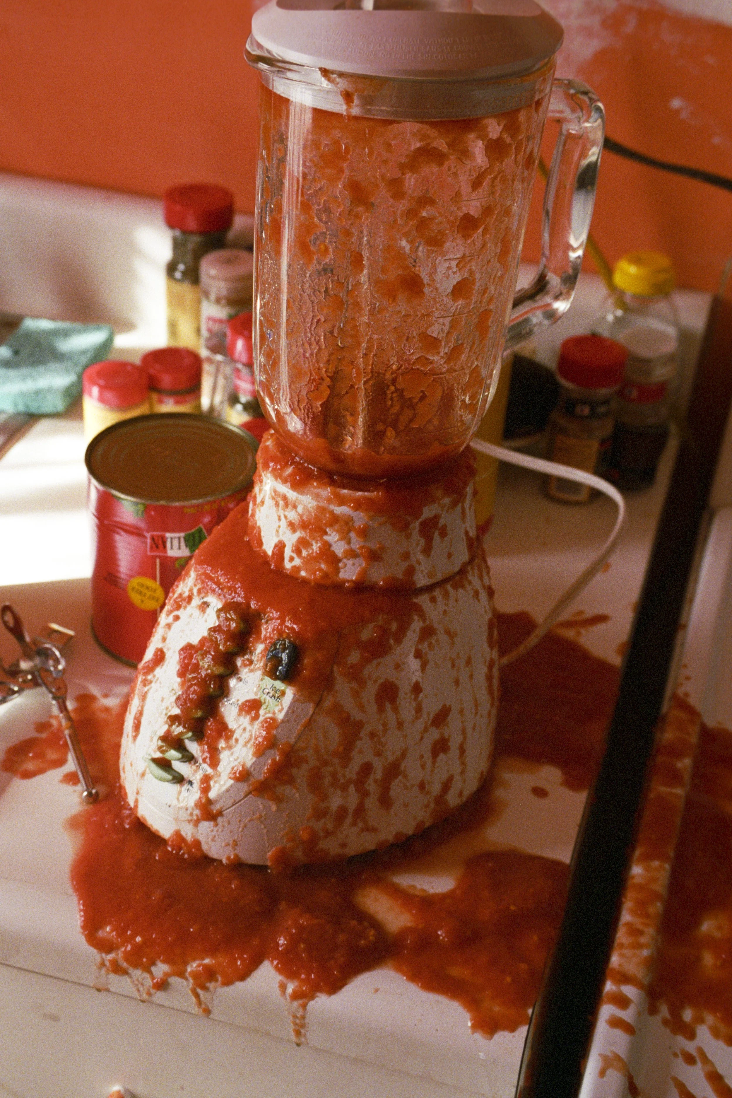 Blender Accident Kitchen 1 Photo by Vito Fun.JPG