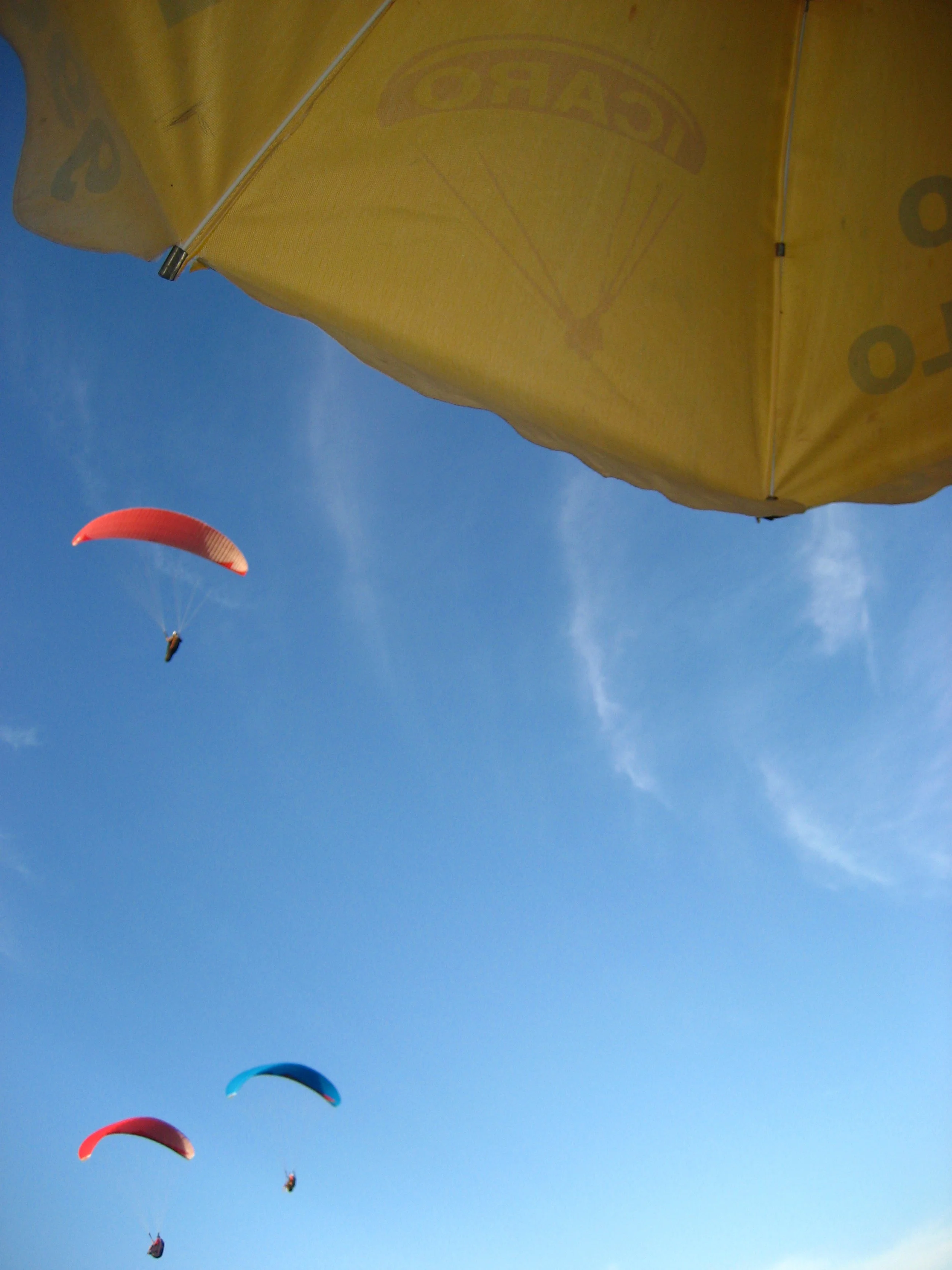 Brazil February 2008; Paragliders With Umbrella 2.JPG