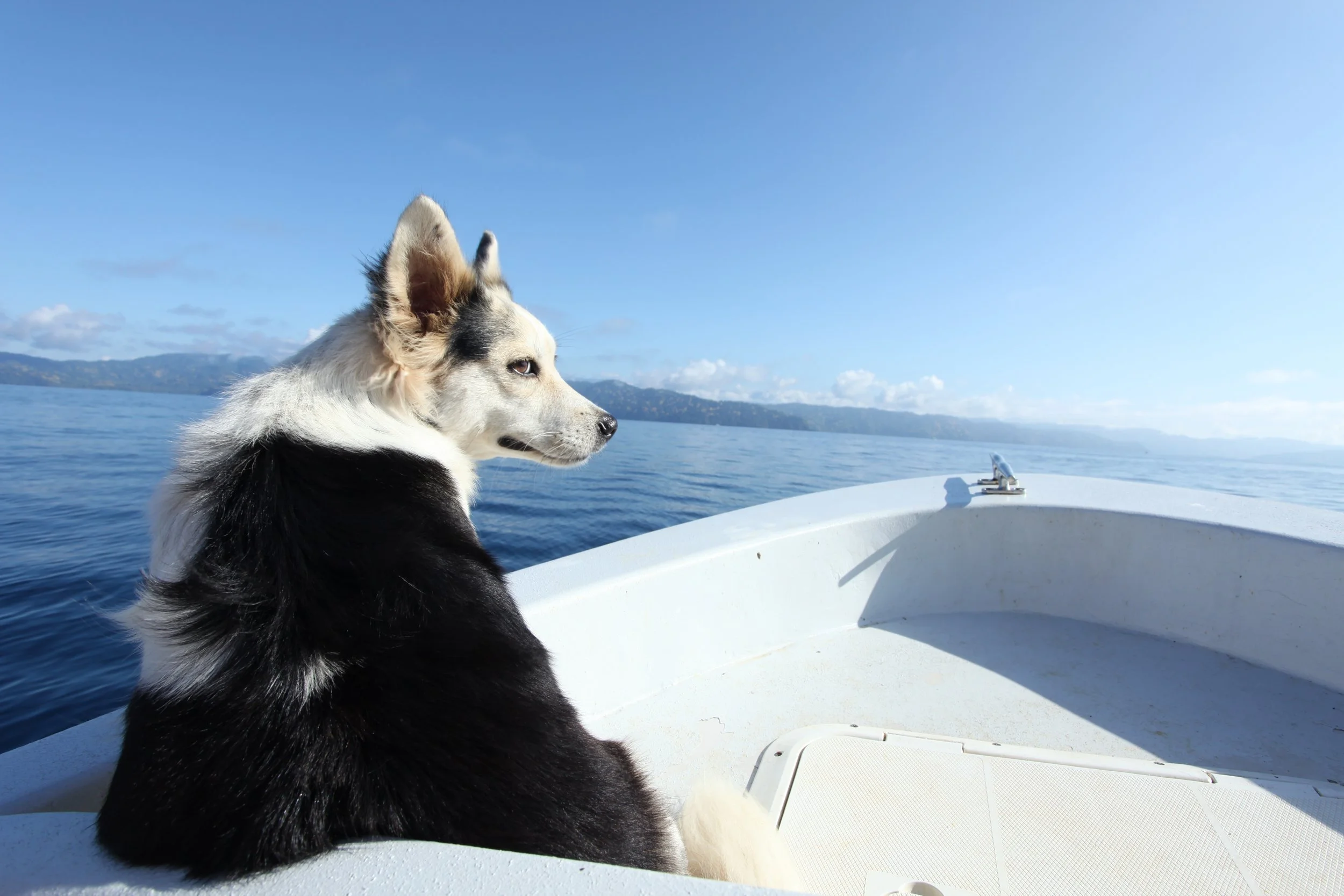 Costa Rica 2009; Boat Ride Co-Pilot 1.JPG