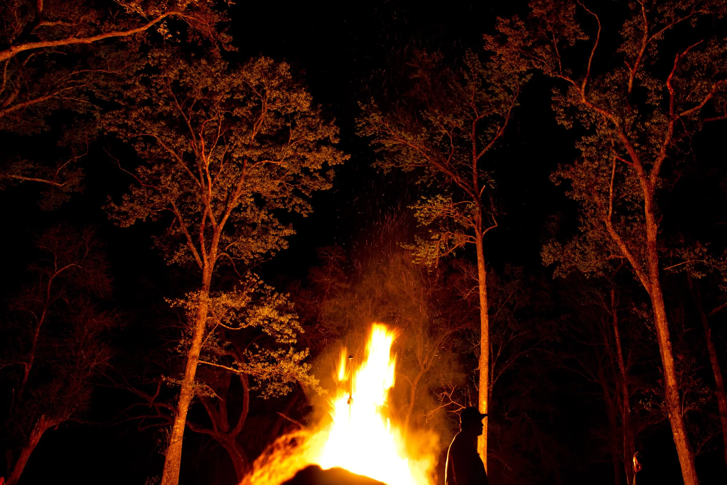 Emergence Burn 2019 Charleston 81; Effigy Burning Fire Trees.JPG