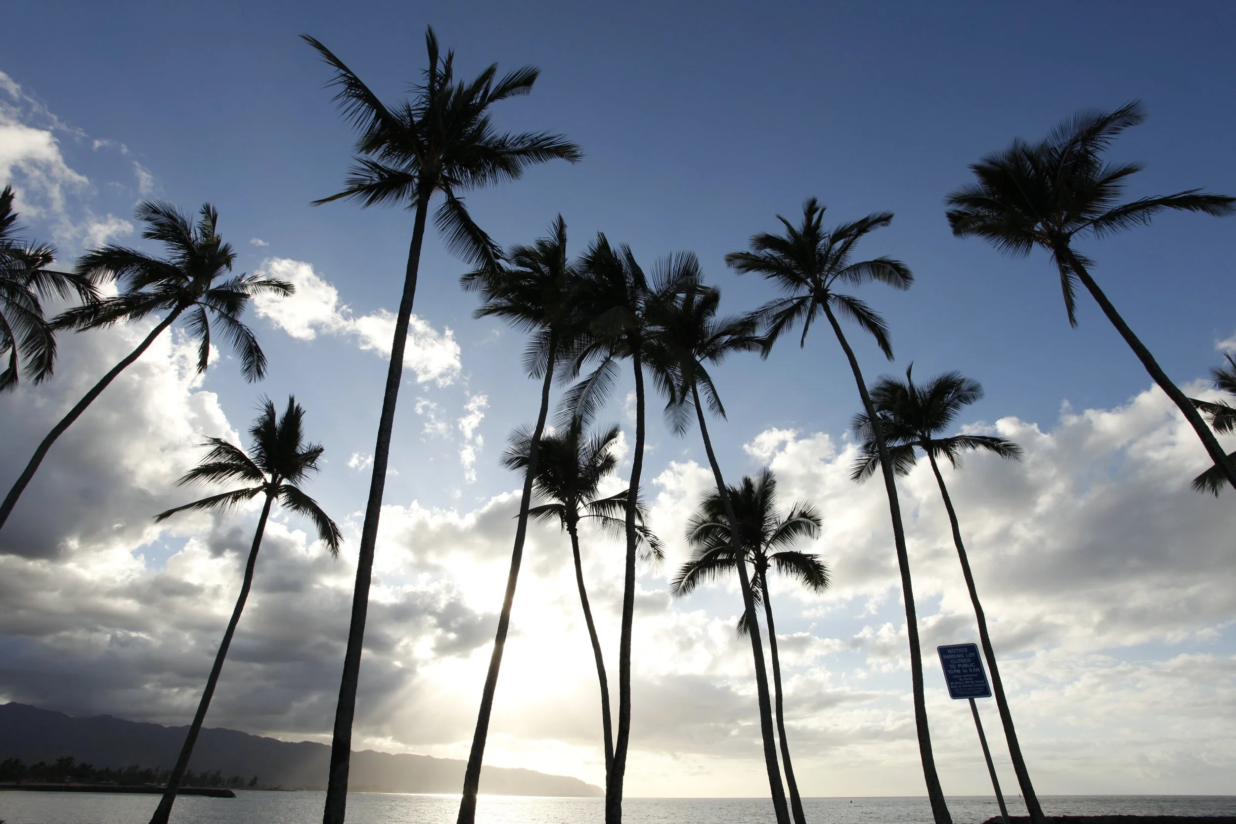 Hawaii Oahu October 2009; Sunset Silhouettes 2.JPG