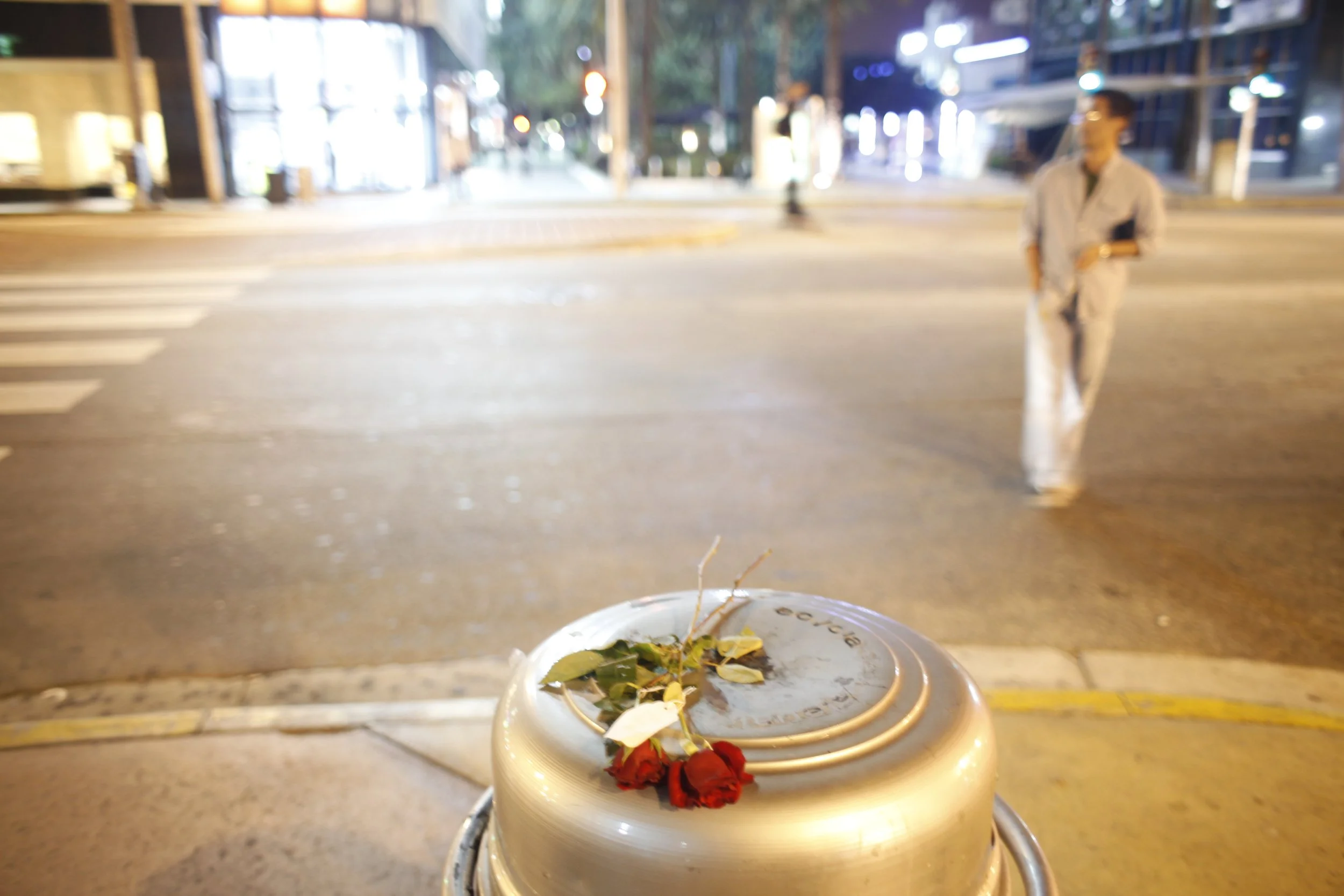 Miami February 2011; Lonely Night Flower.JPG