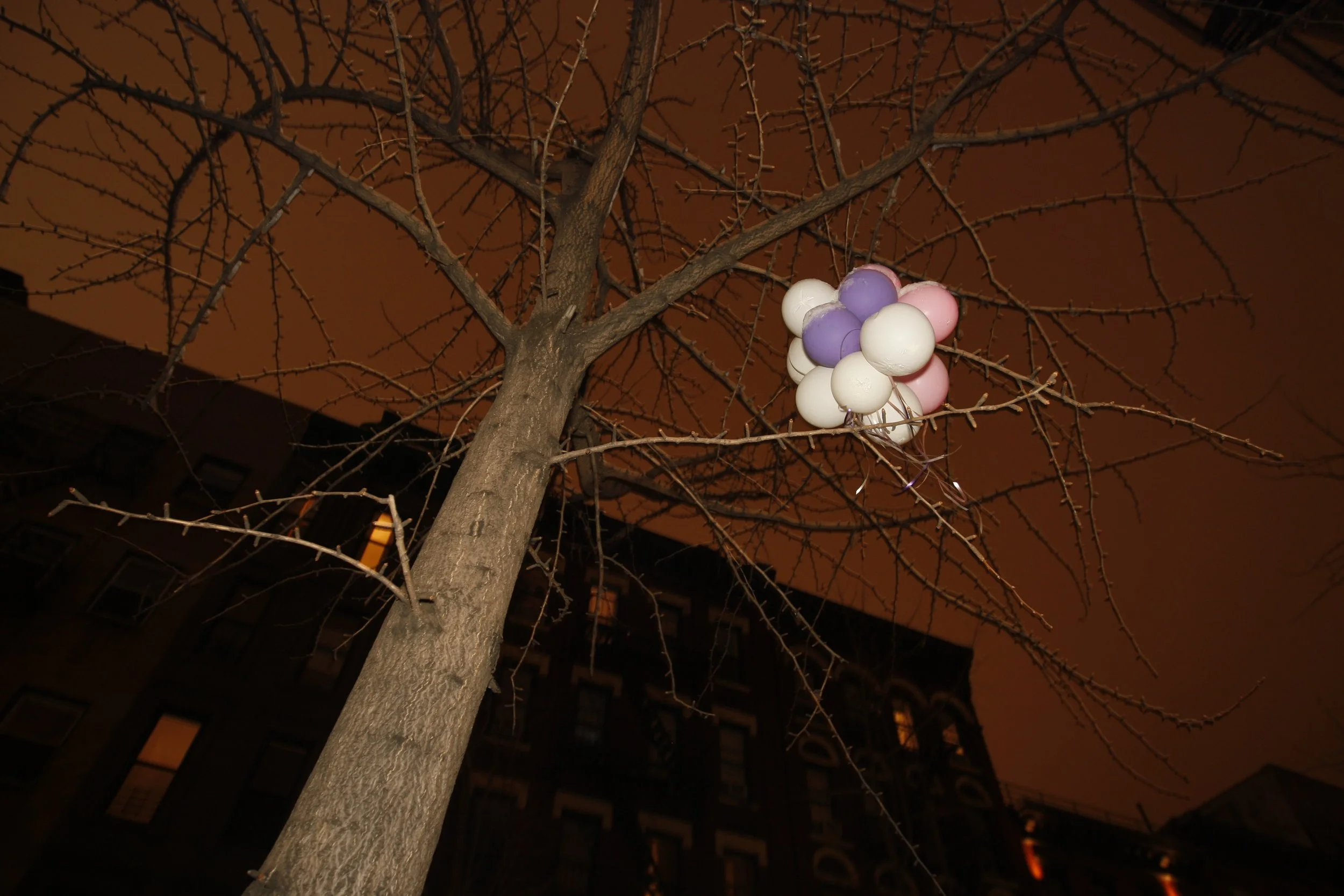 Saturday December 20th; Balloons Photo by Vito Fun.JPG
