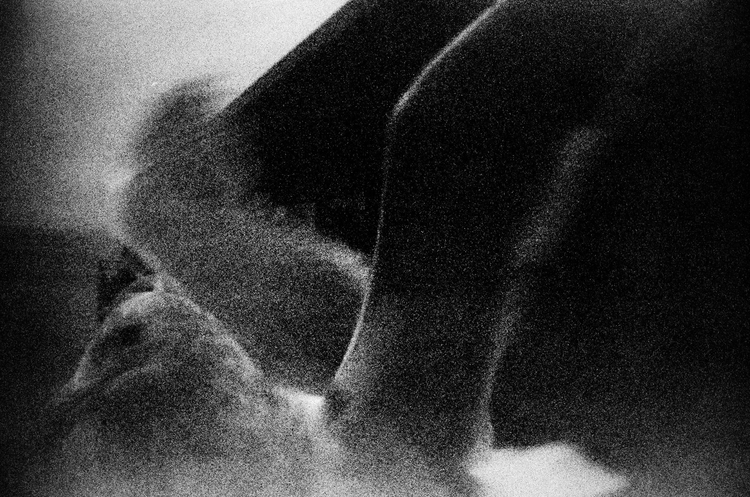 Seattle December 2013 Negative Scans - Film Expired 1996 - Black & White 3; Seagull.JPG