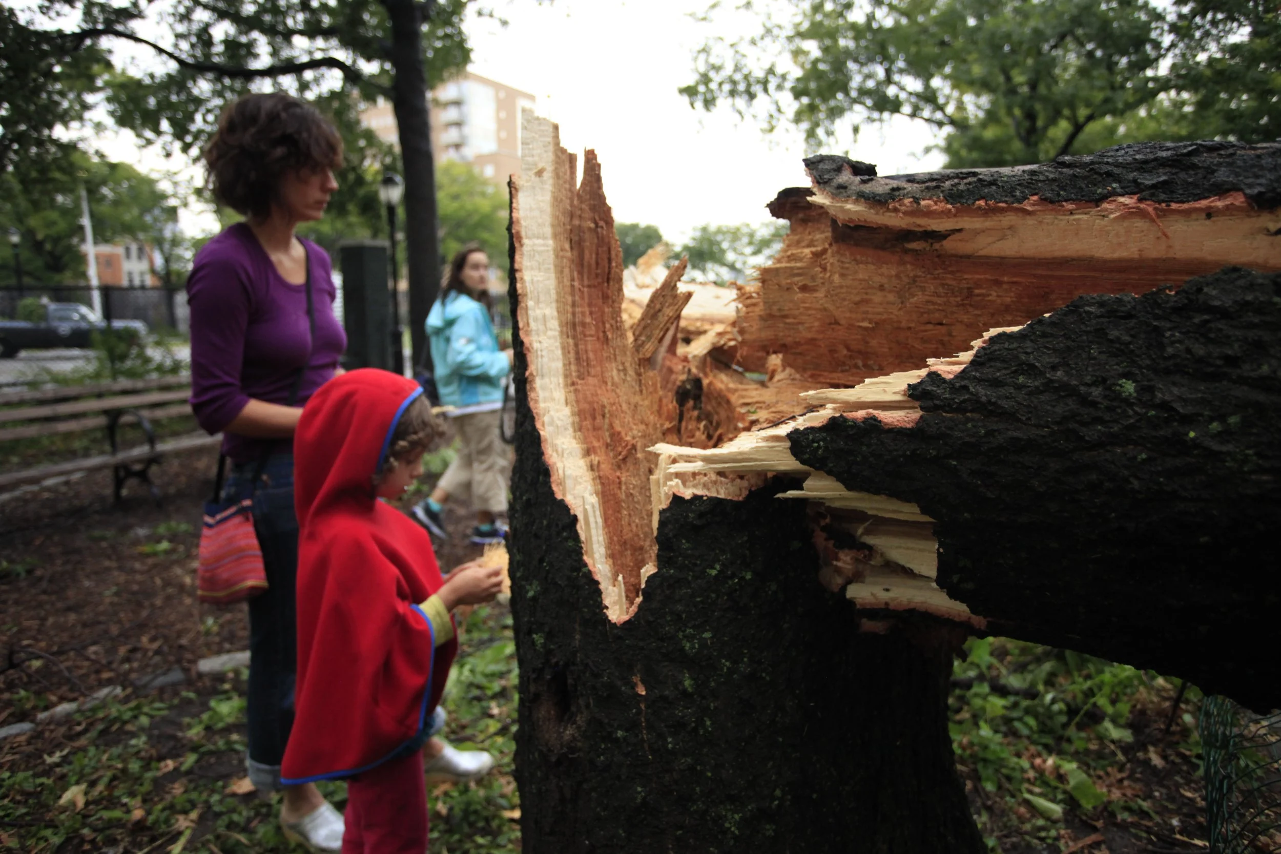 September 16 2010; Tornado In Brooklyn 37.JPG