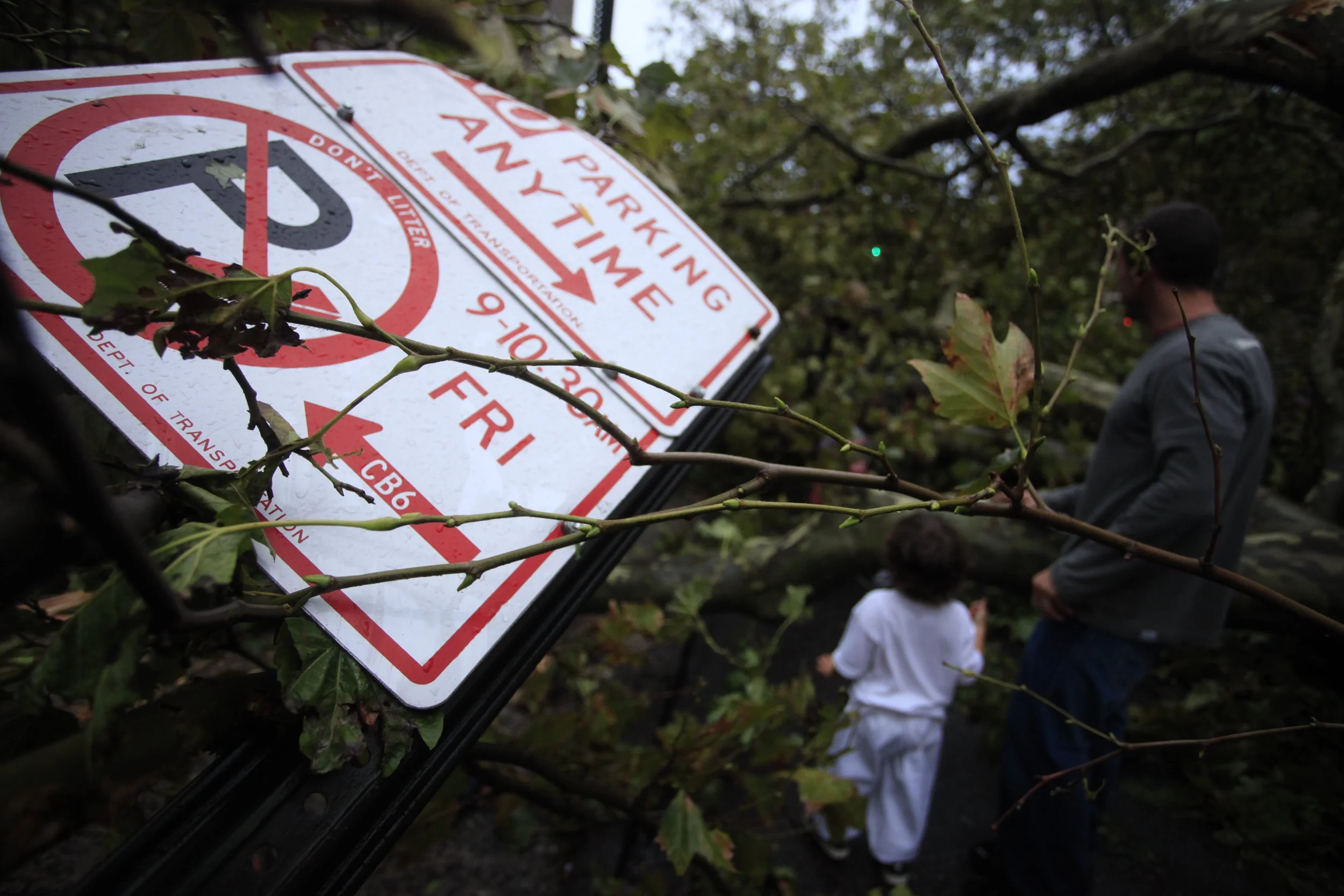 September 16 2010; Tornado In Brooklyn 51.JPG