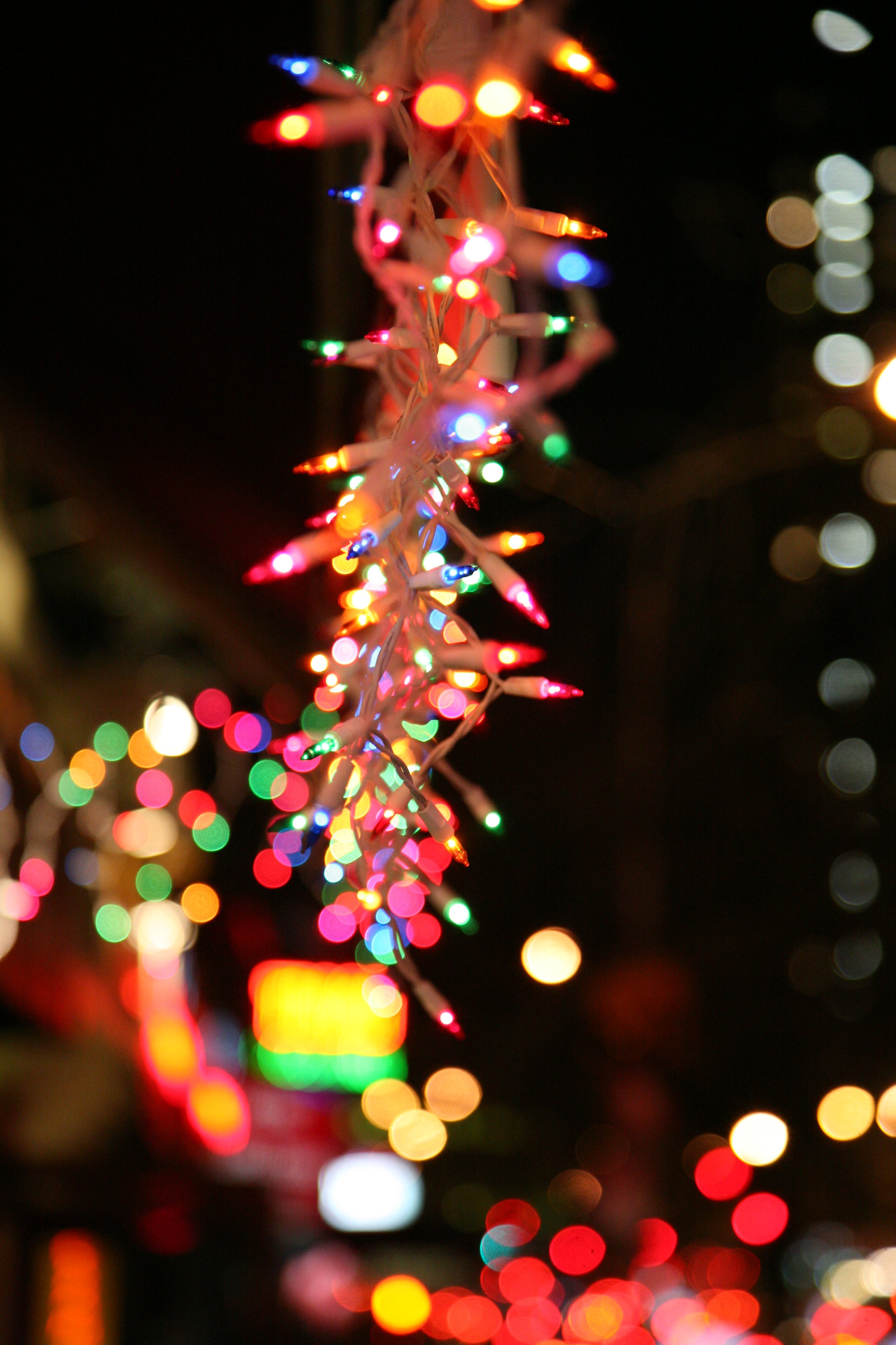 Lights; Focused & Not Focused.JPG