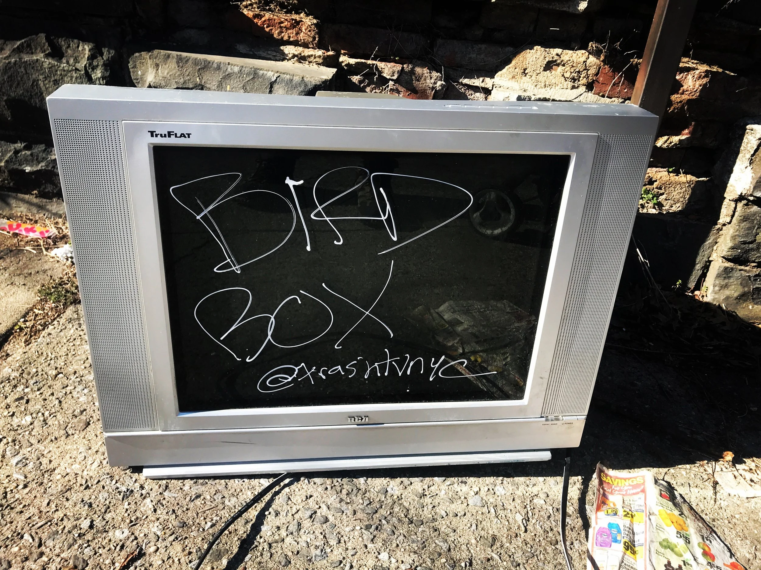 Trash TV NYC; Bird Box.JPG