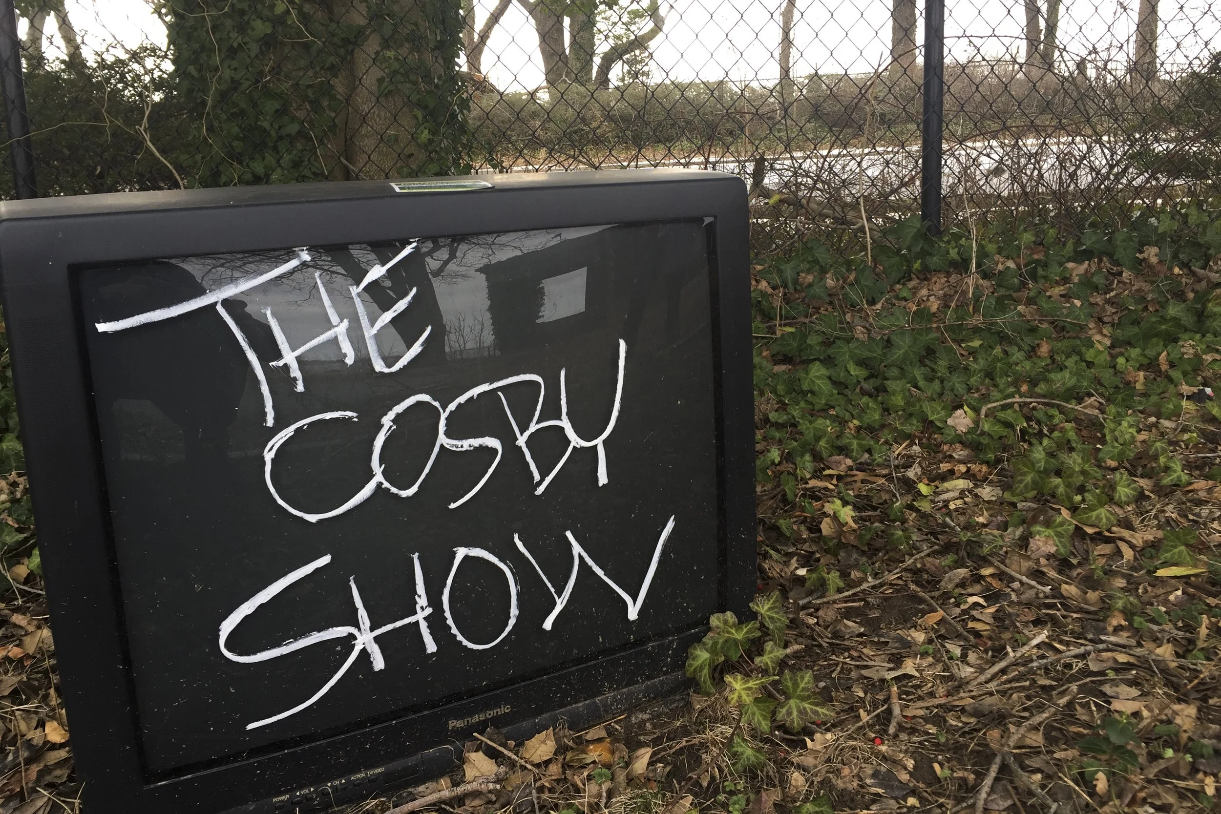 Trash TV NYC; The Cosby Show.jpg