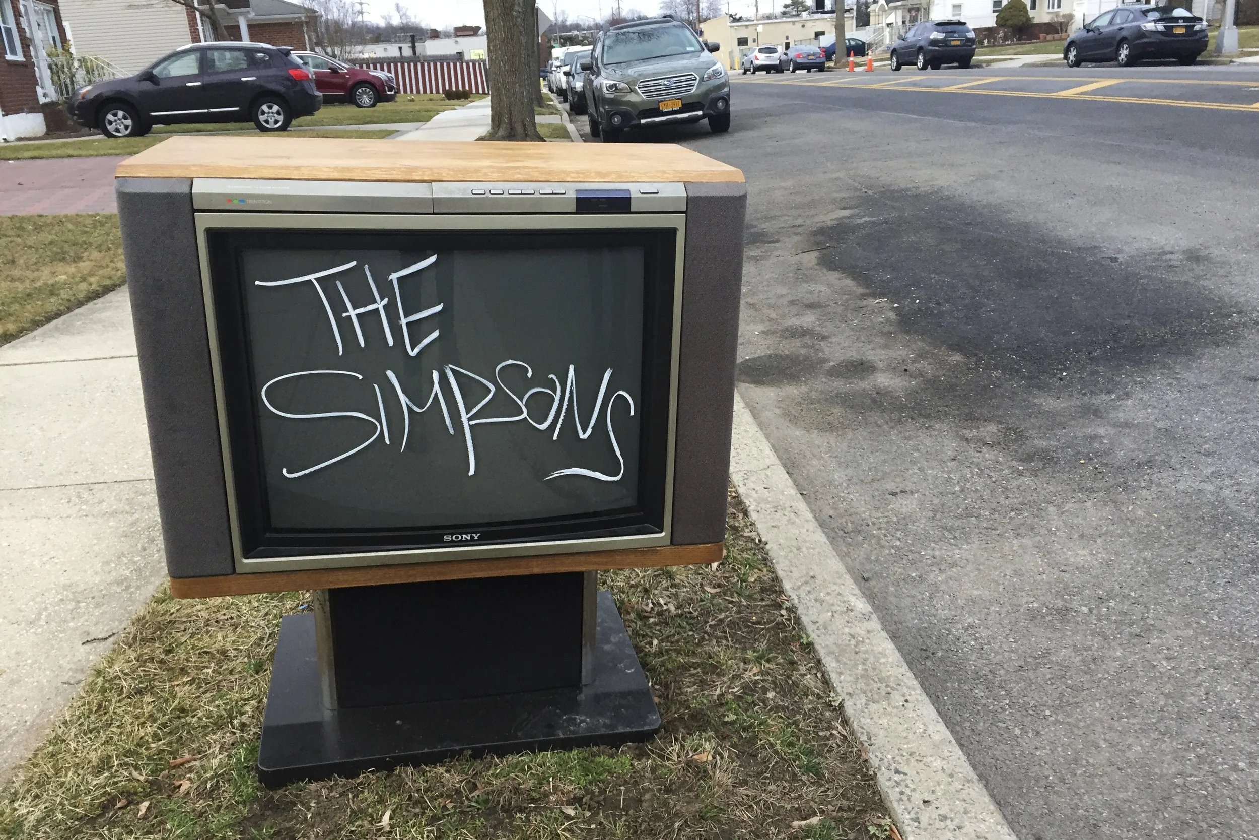 Trash TV NYC; The Simpsons.jpg
