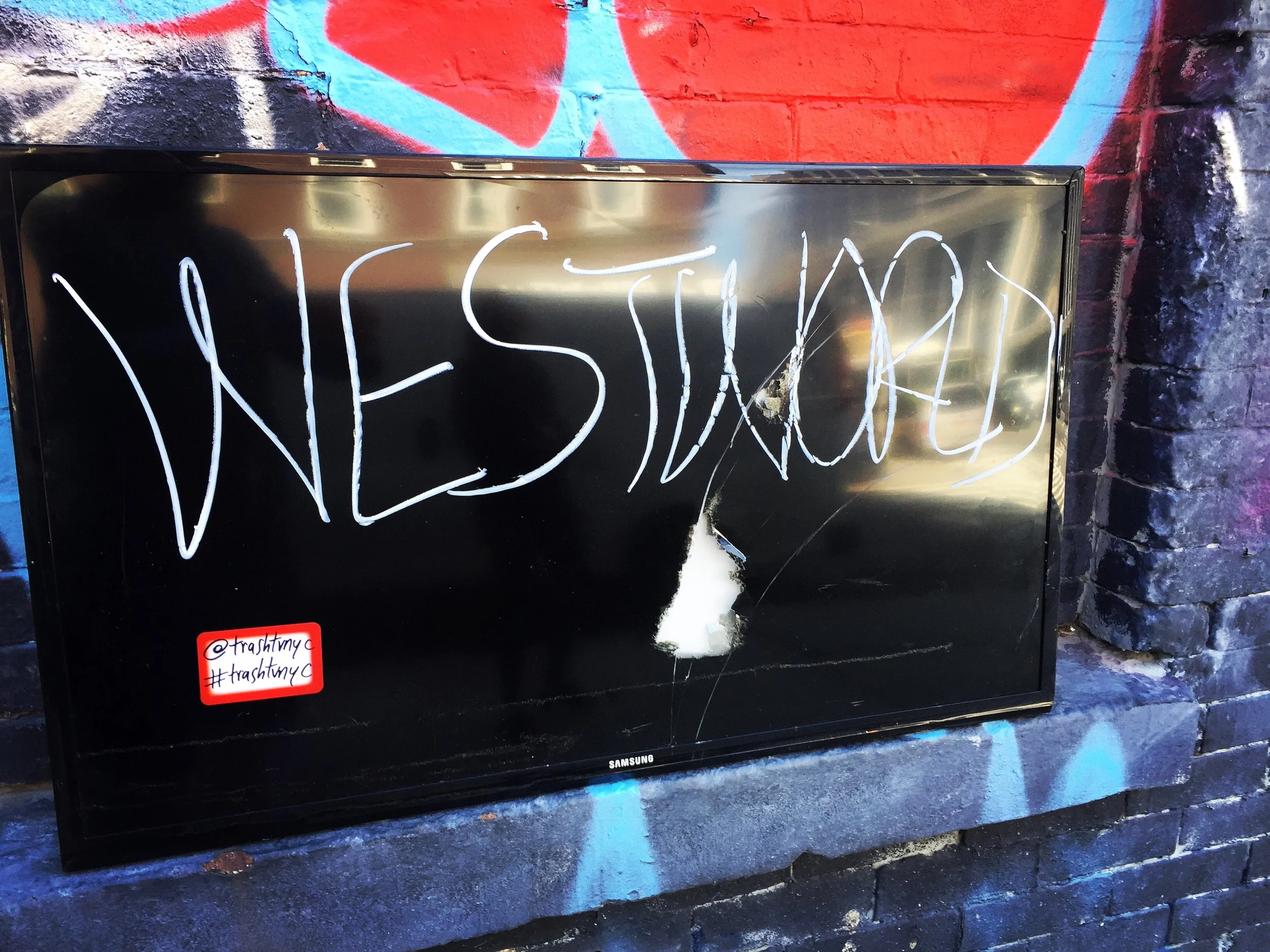 Trash TV NYC; Westworld.JPG