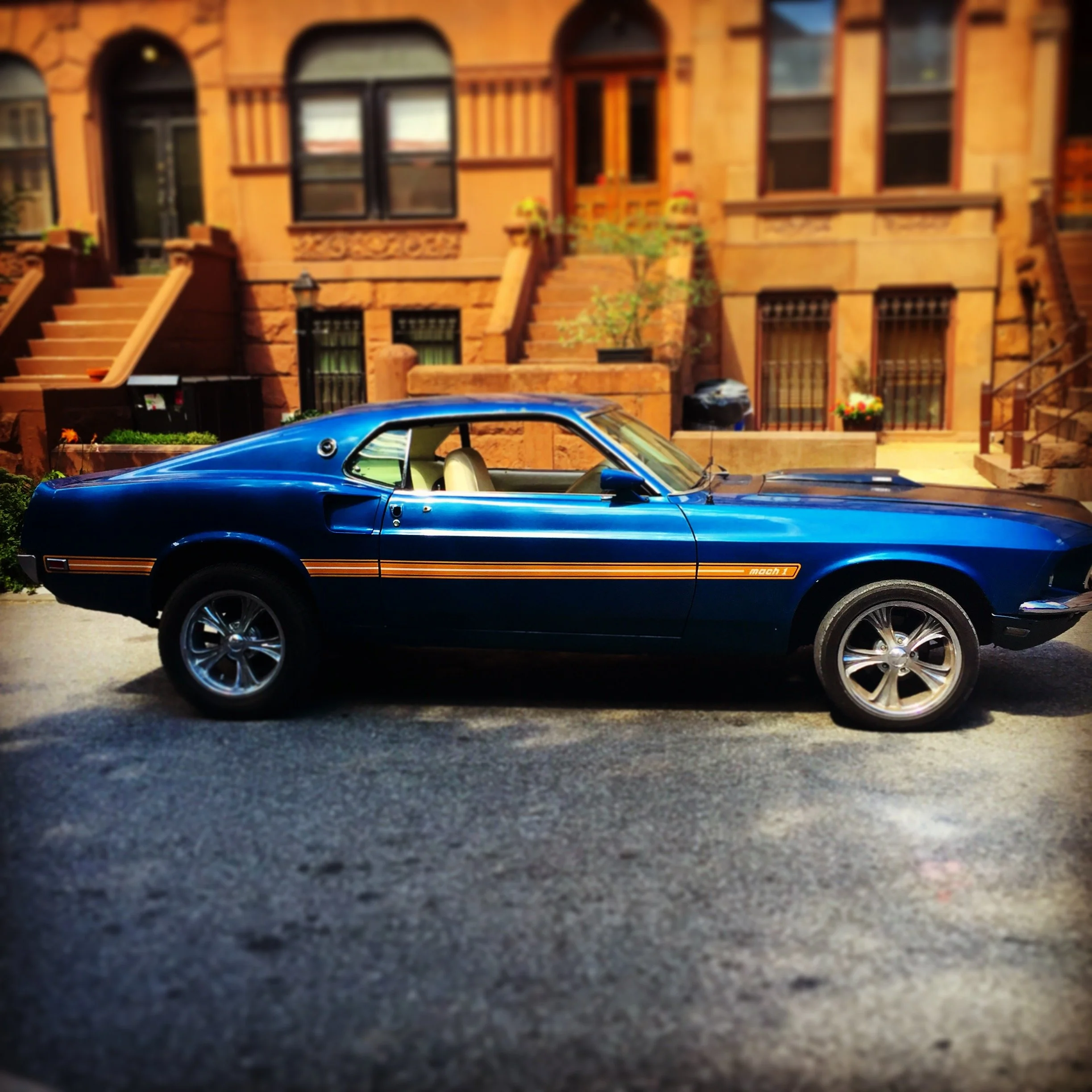 Brooklyn Whips 4.JPG