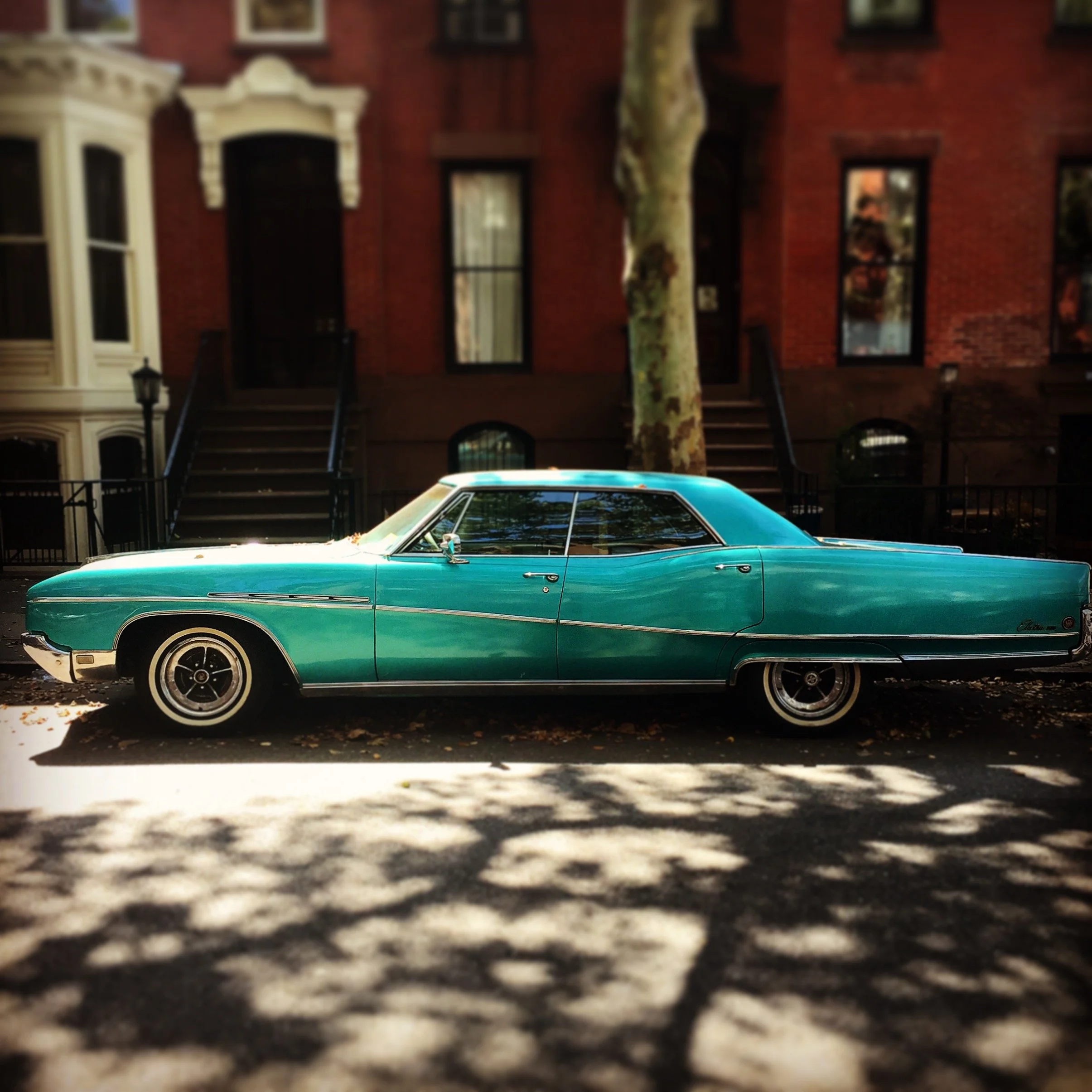 Brooklyn Whips 5.JPG
