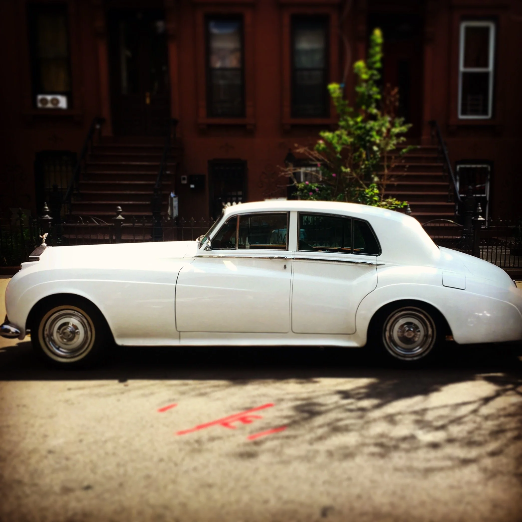 Brooklyn Whips 10.JPG