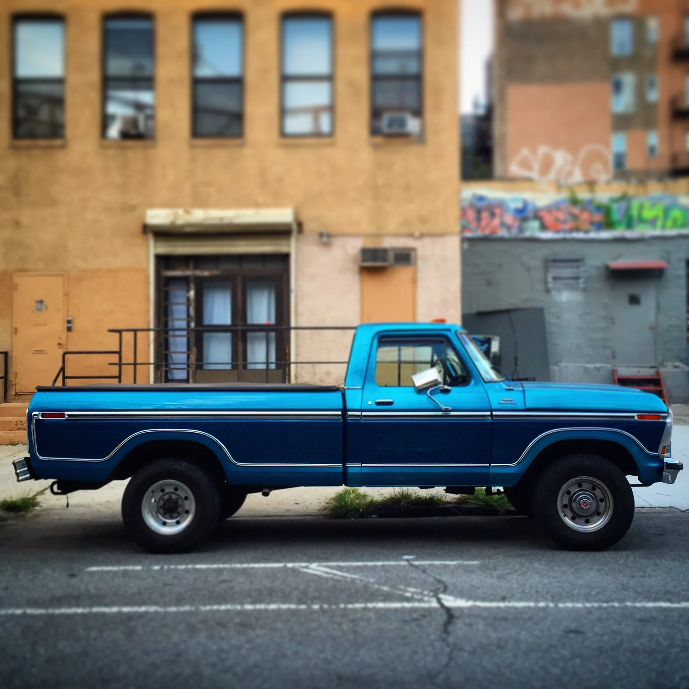 Brooklyn Whips 14.JPG