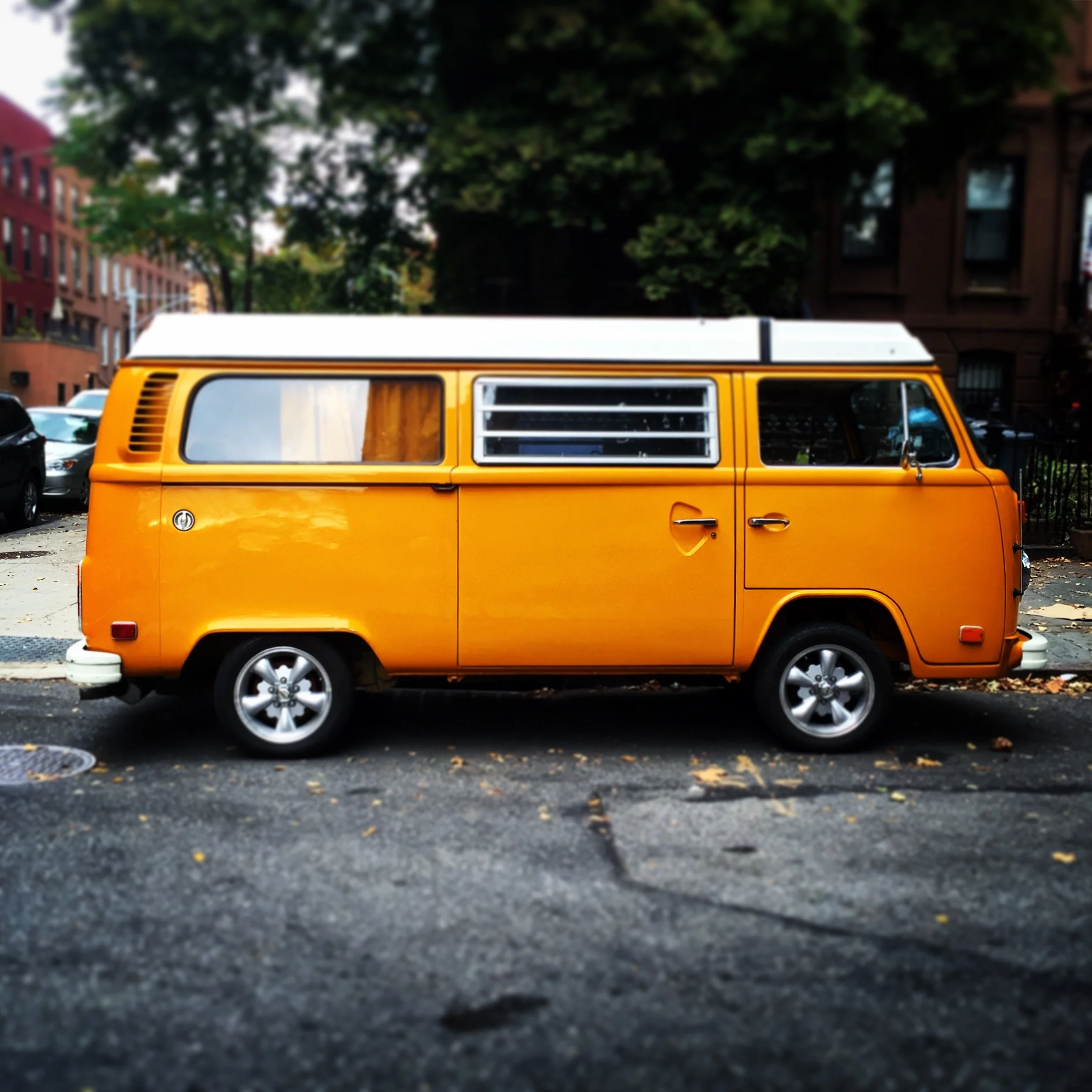 Brooklyn Whips 16.JPG